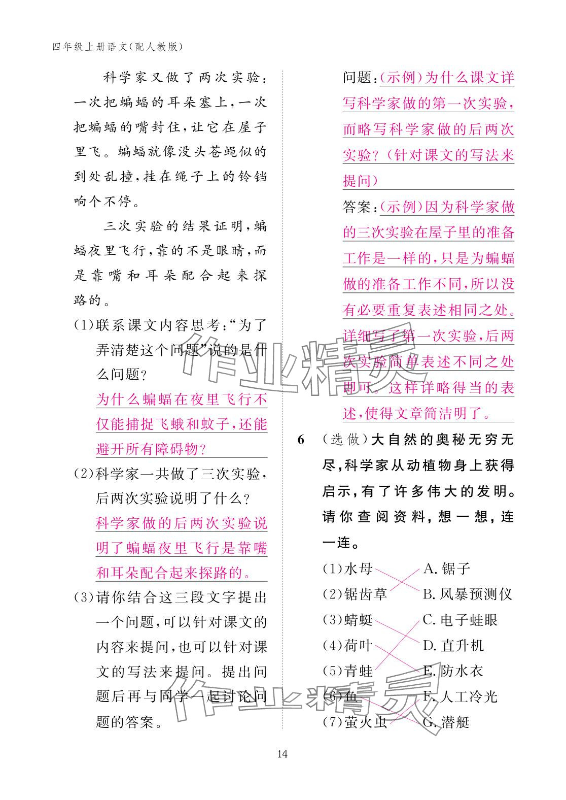 2025年作業本江西教育出版社四年級語文上冊人教版&nbsp;參考答案第14頁
