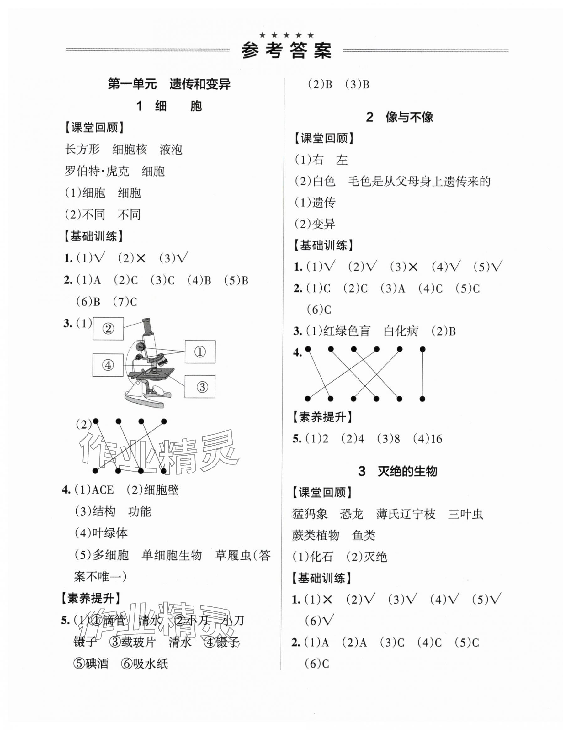 2025年小學(xué)學(xué)霸作業(yè)本六年級科學(xué)上冊青島版 參考答案第1頁