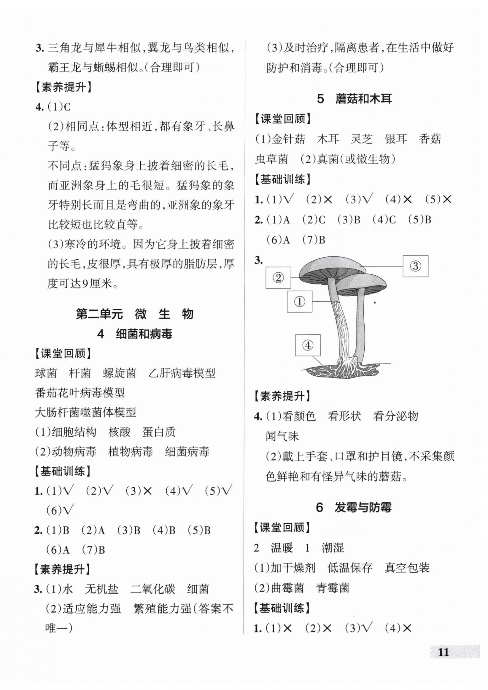 2025年小學(xué)學(xué)霸作業(yè)本六年級科學(xué)上冊青島版 參考答案第2頁