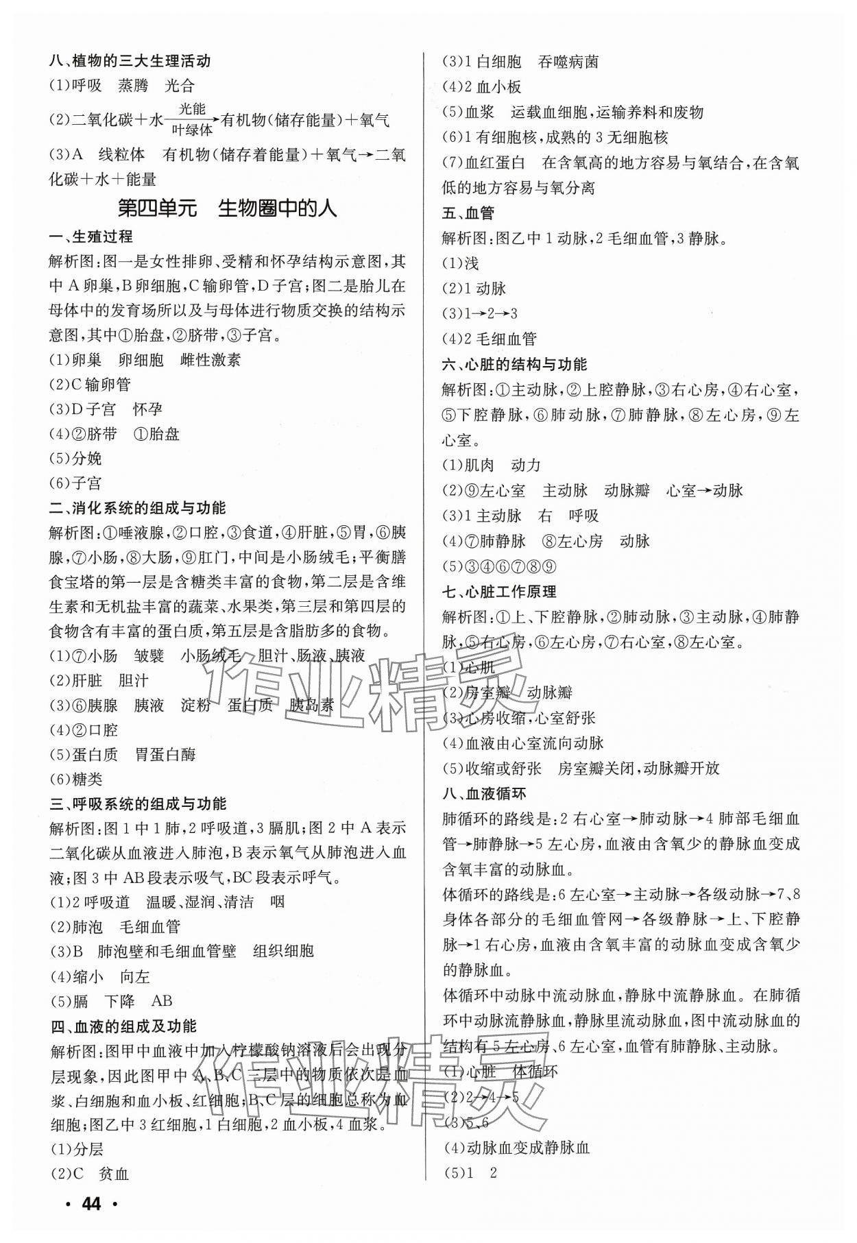 2024年中考對策生物魯科版 第2頁