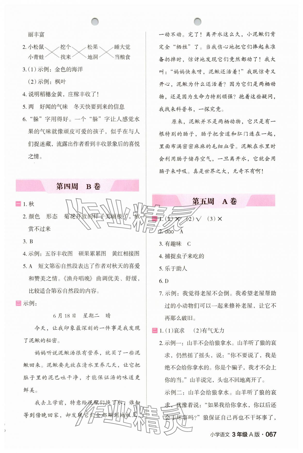 2025年木头马阅读小卷三年级A版 第3页