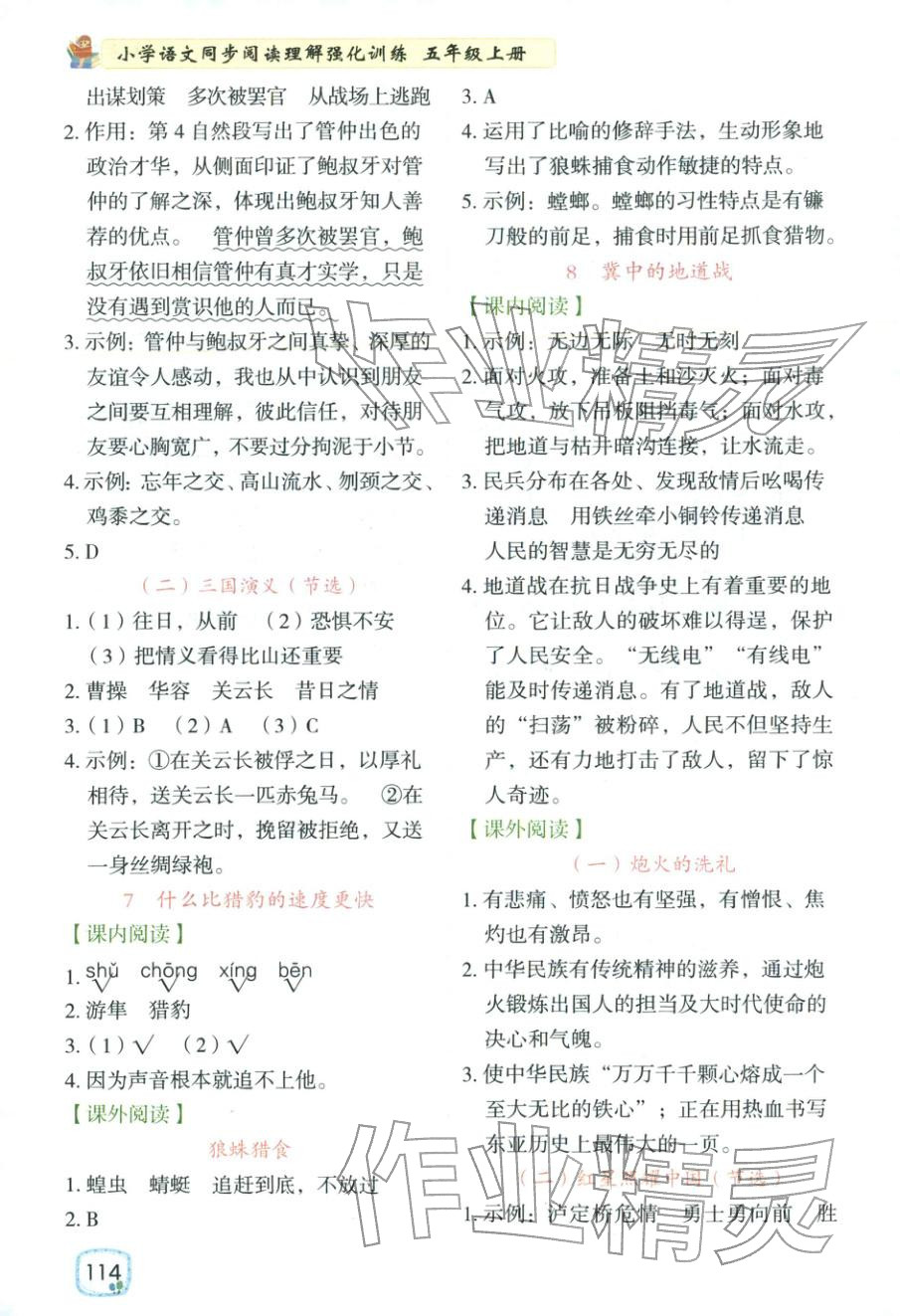 2025年阅读理解强化训练五年级语文上册人教版&nbsp;第4页