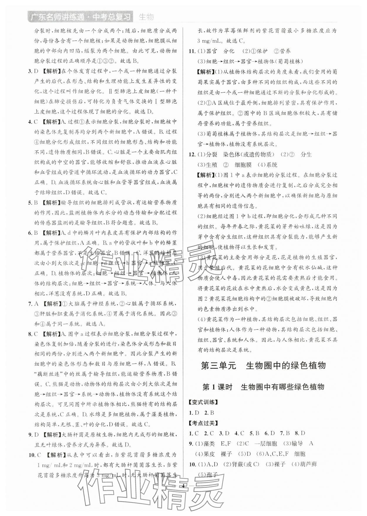 2025年廣東名師講練通中考總復習生物深圳專版&nbsp;第4頁