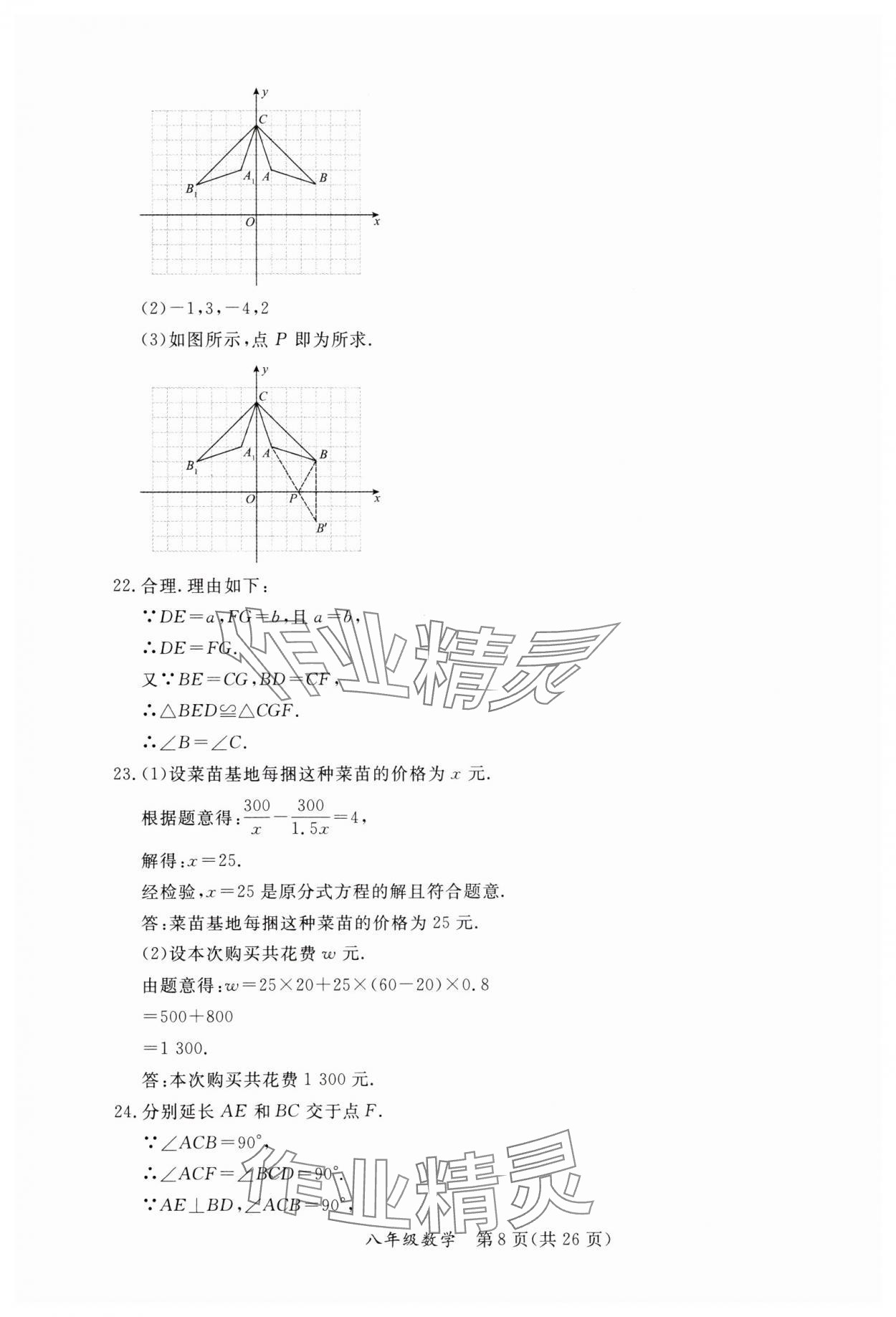 2025年寒假作業(yè)延邊教育出版社八年級合訂本人教版B版河南專版 第8頁