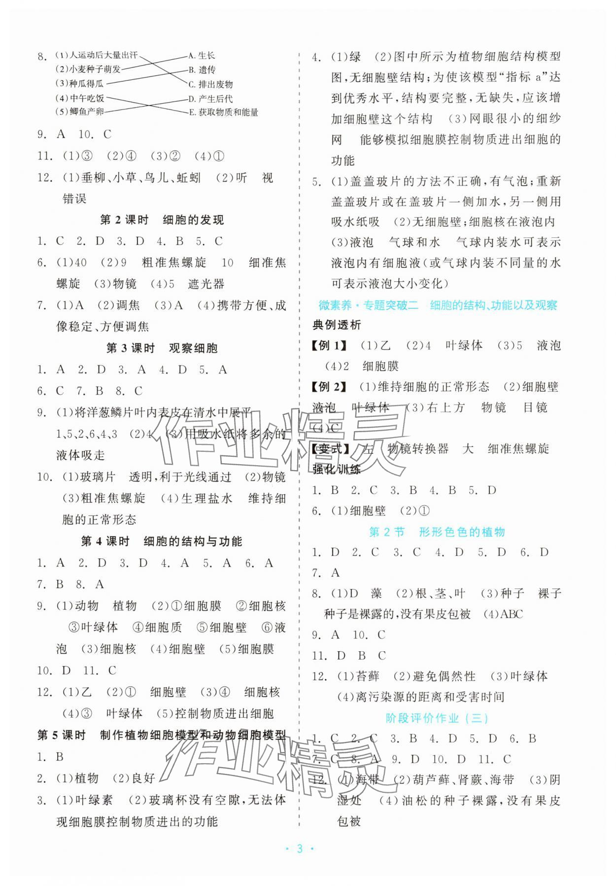 2025年精彩練習就練這一本七年級科學上冊浙教版評議教輔 第3頁