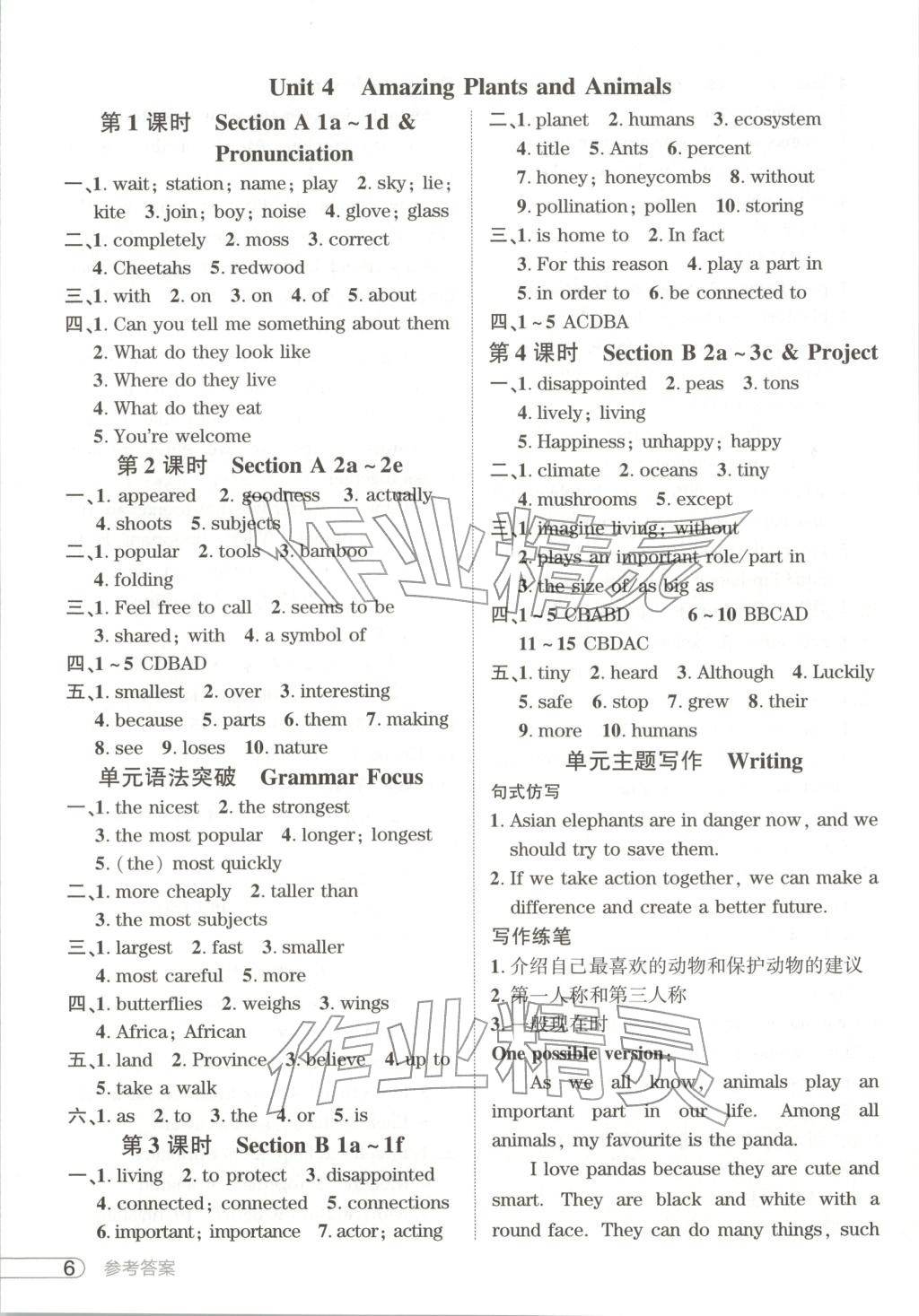 2025年鼎成中考活页好题八年级英语上册人教版河南专版&nbsp;第6页