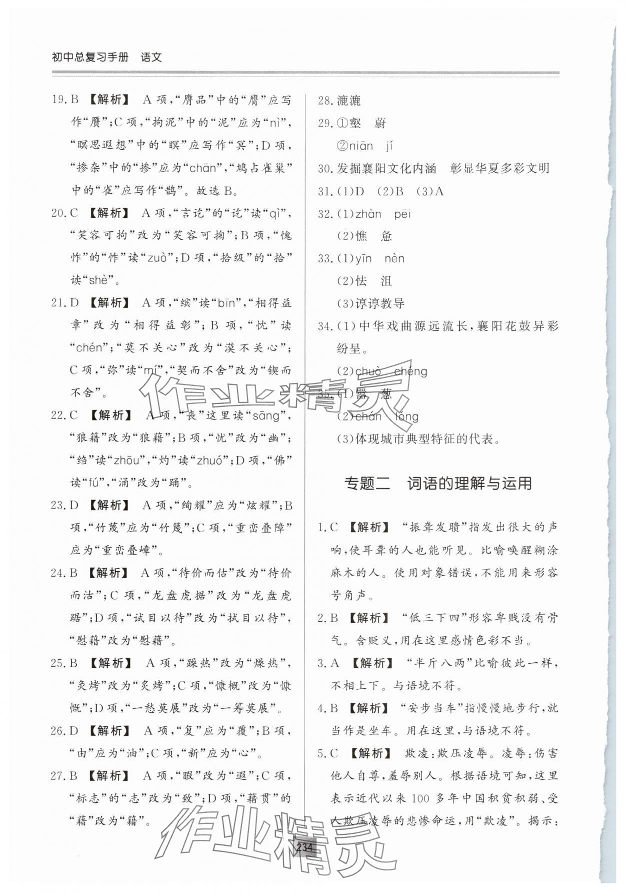 2025年初中总复习手册明天出版社语文 第2页