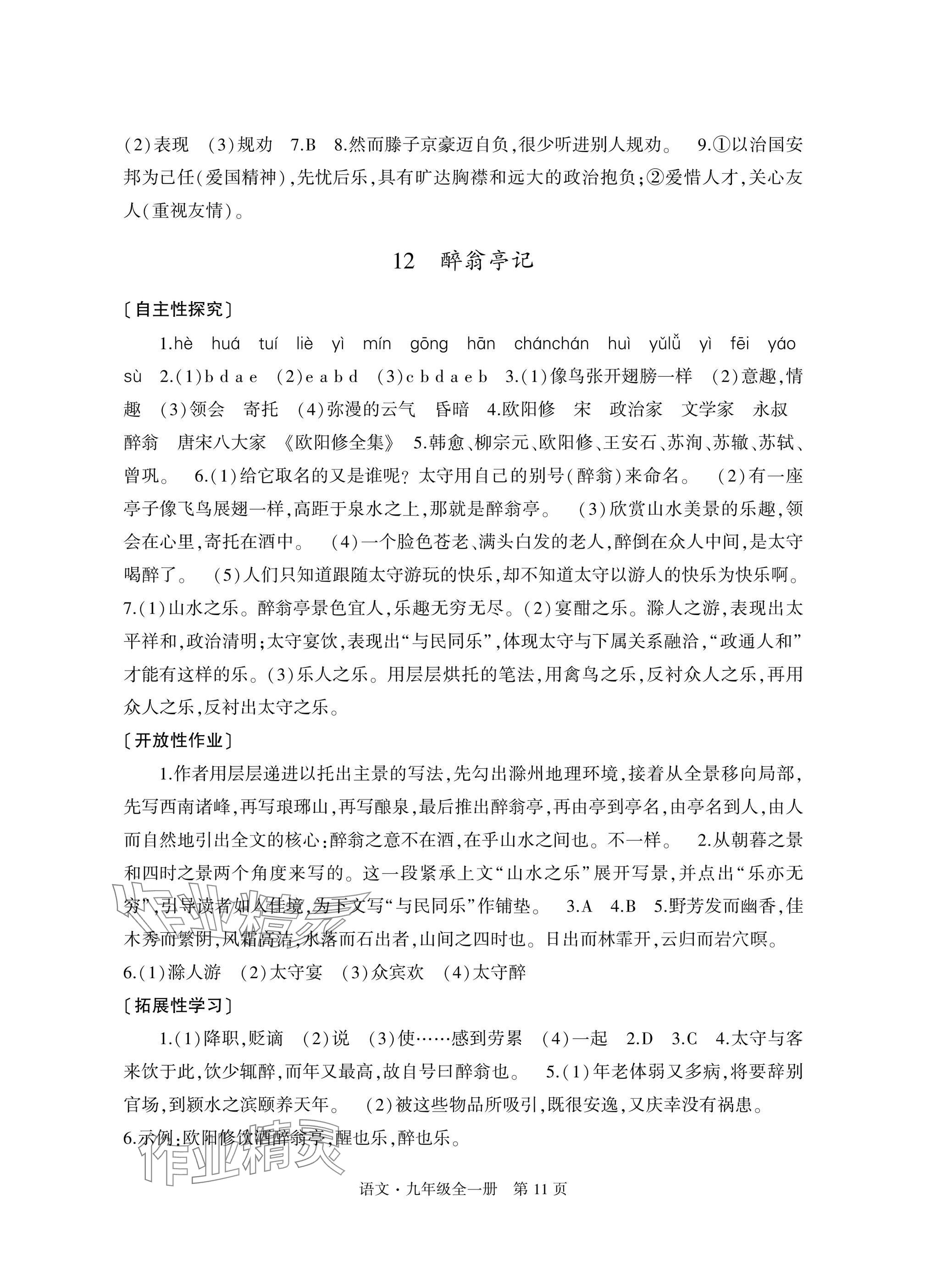 2025年自主学习指导课程与测试九年级语文全一册人教版&nbsp;参考答案第11页
