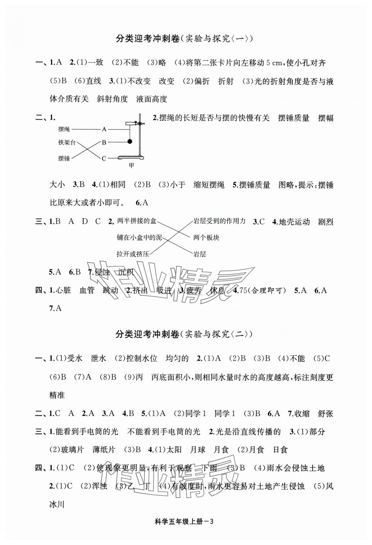 2024年浙江各地期末迎考卷五年級(jí)科學(xué)上冊(cè)教科版 第3頁