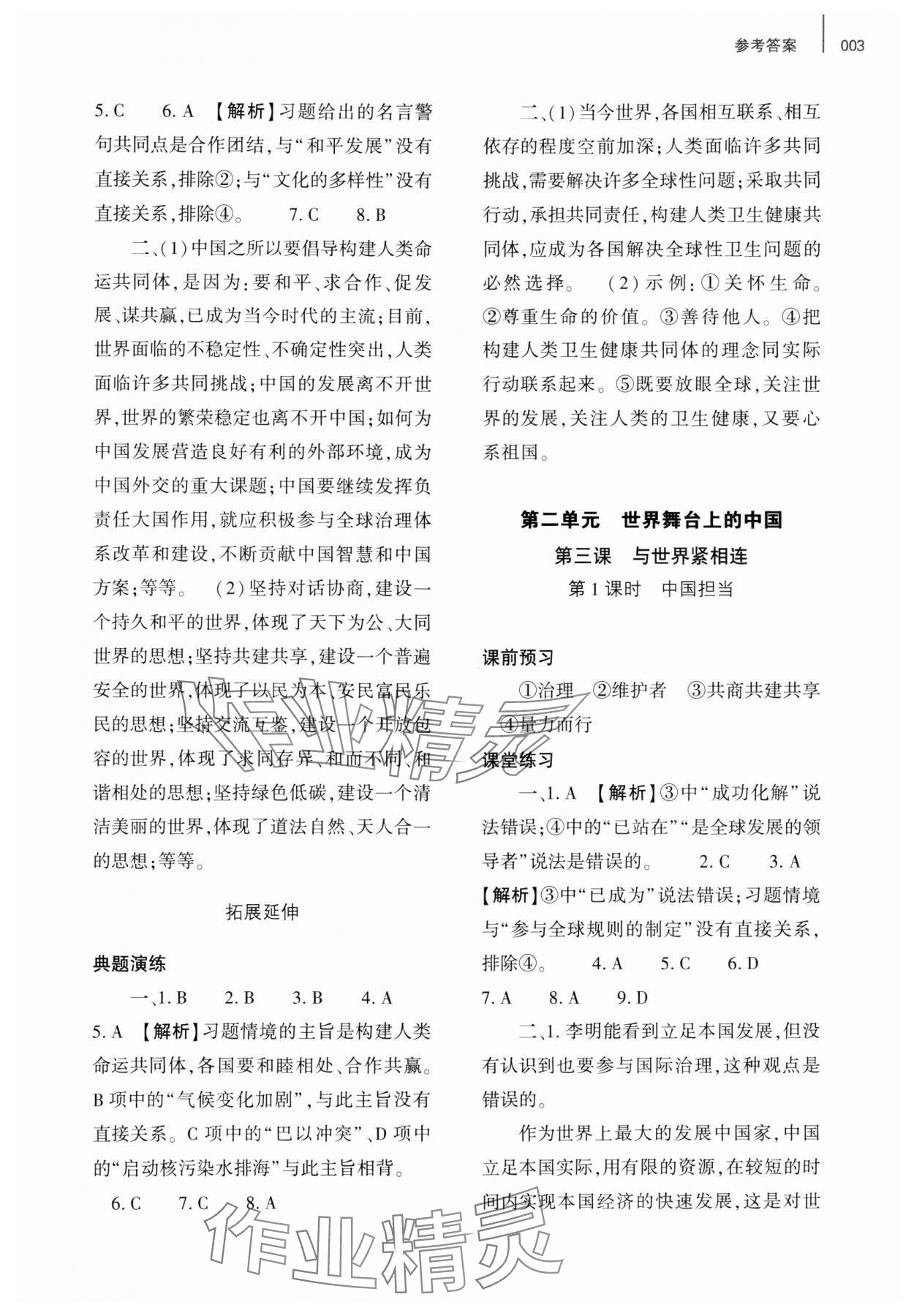 2025年基礎(chǔ)訓(xùn)練大象出版社九年級(jí)道德與法治下冊(cè)人教版 第3頁(yè)