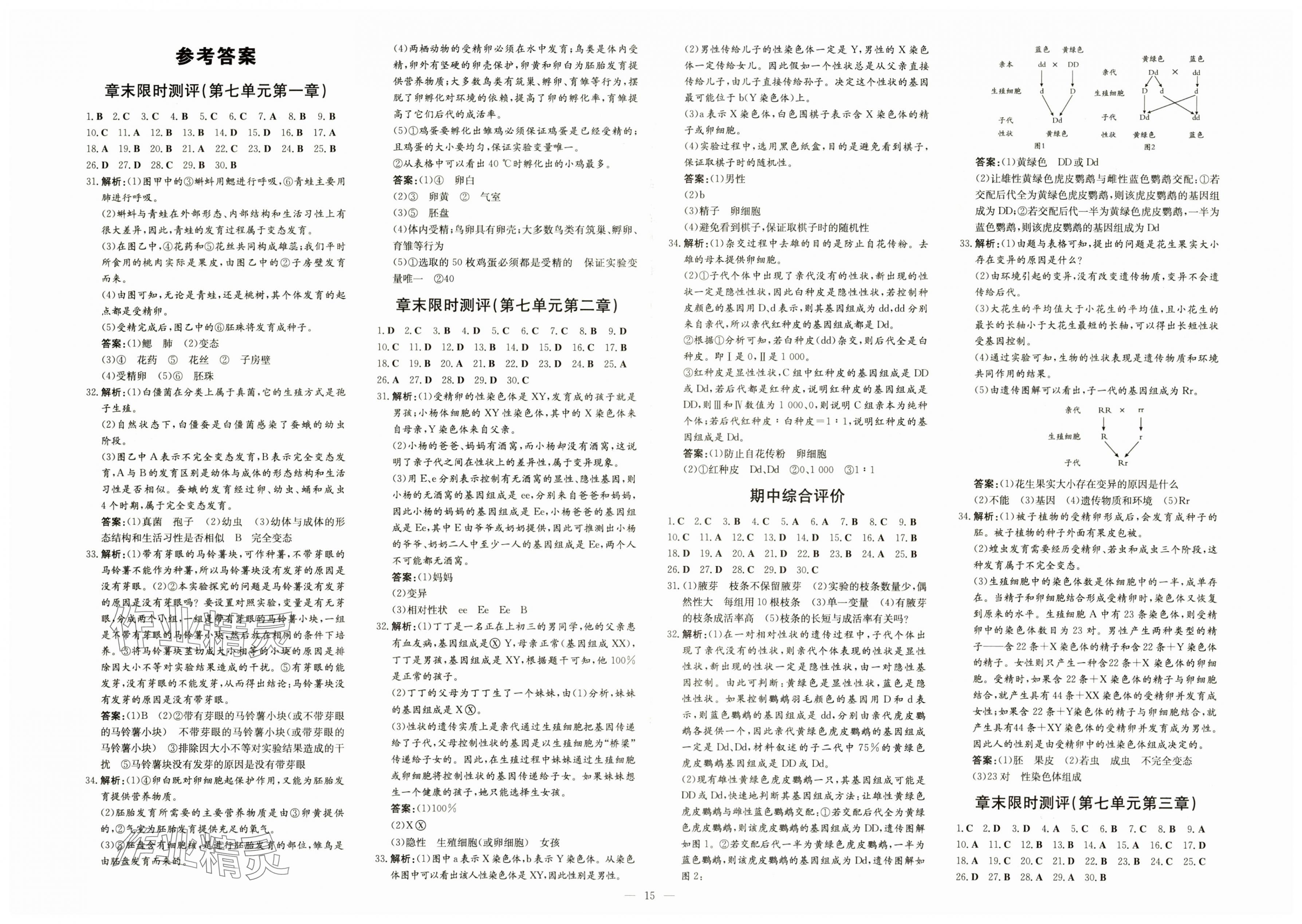 2025年初中同步學(xué)習(xí)導(dǎo)與練導(dǎo)學(xué)探究案八年級(jí)生物下冊(cè)人教版 第1頁(yè)