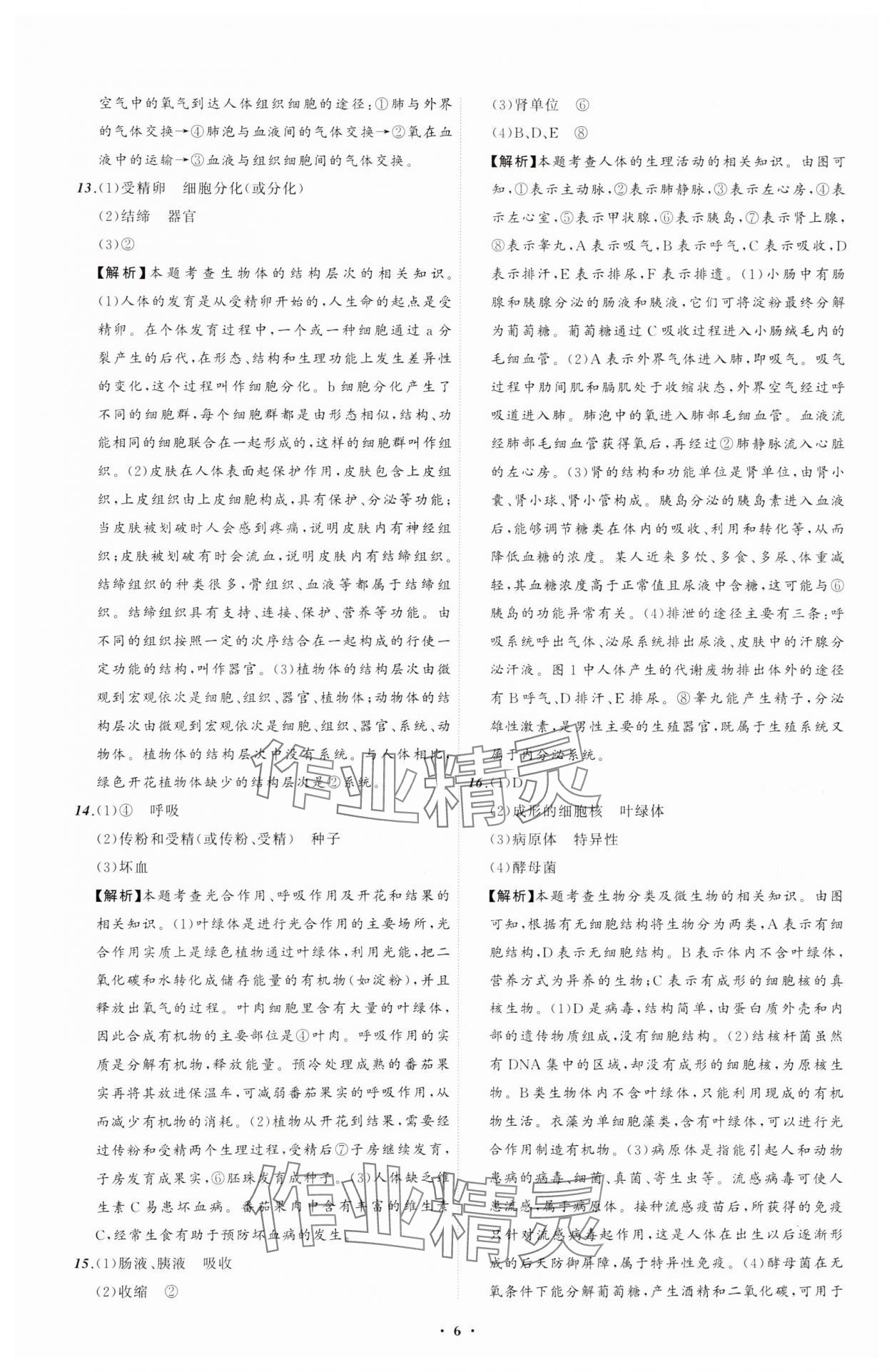 2025年中考必備遼寧師范大學(xué)出版社生物遼寧專版 參考答案第6頁