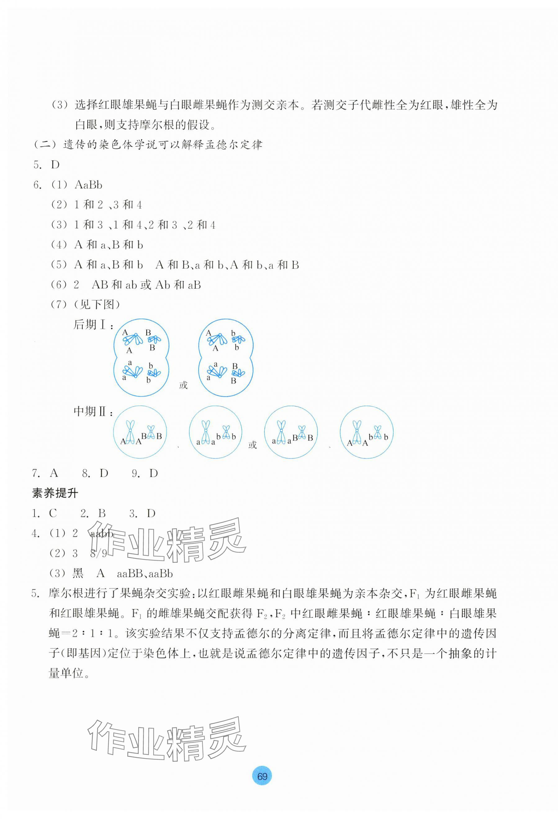 2024年作业本浙江教育出版社高中生物必修2浙科版 第5页