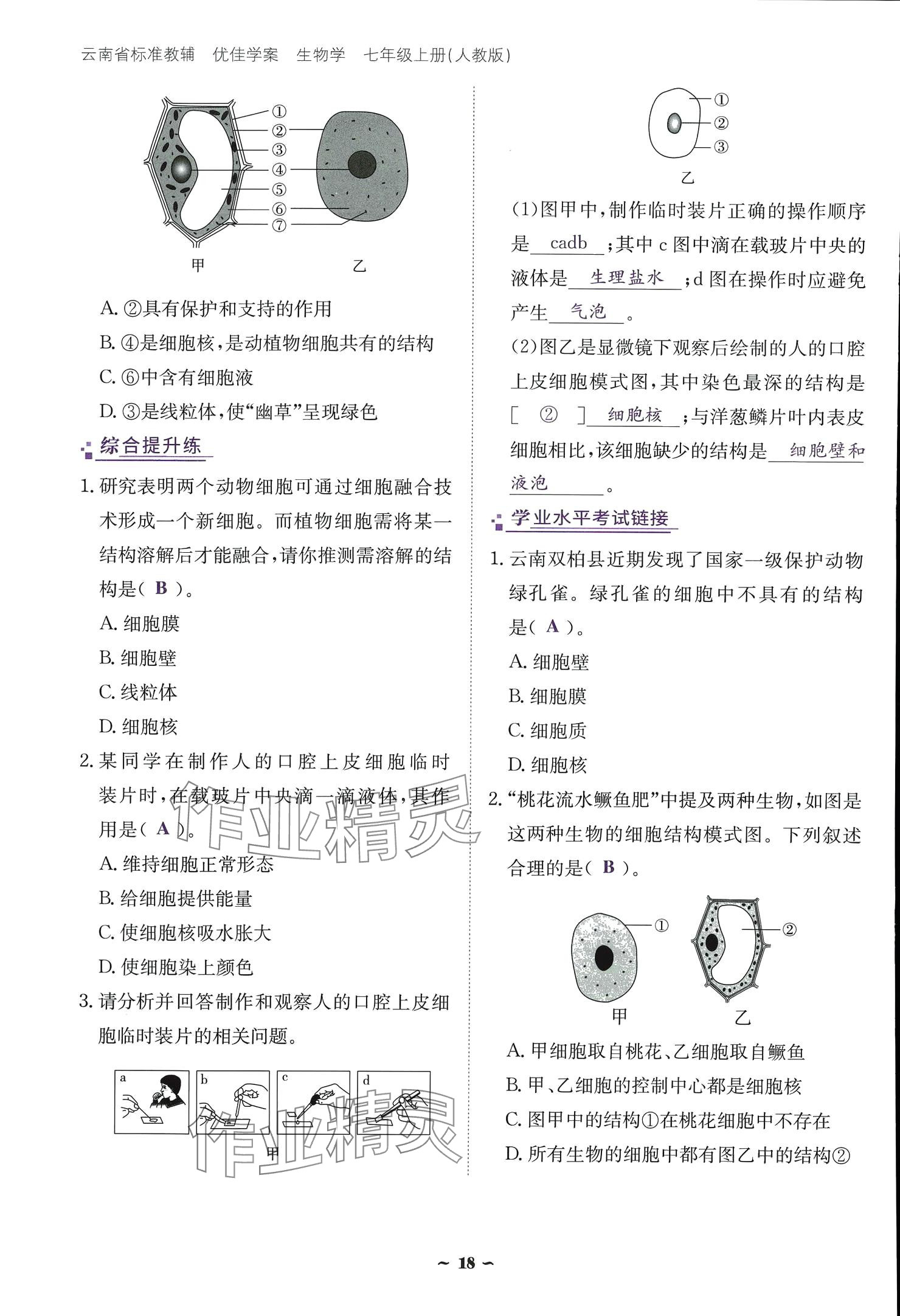 2024云南省標準教輔優(yōu)佳學(xué)案七年級生物上冊 參考答案第18頁