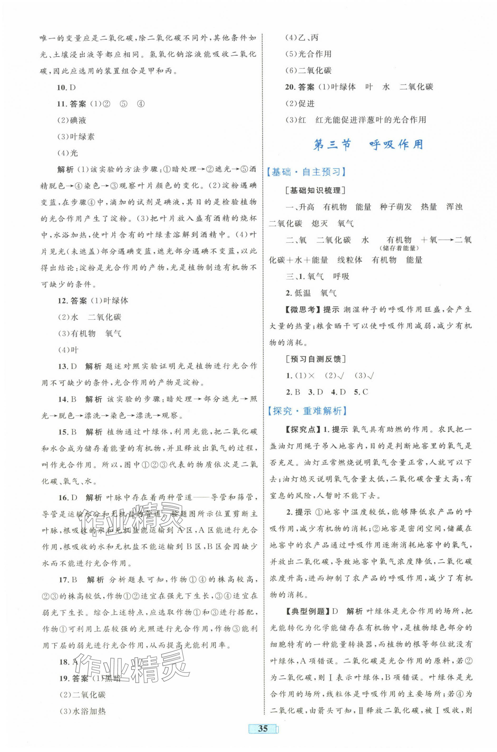 2025年同步學習目標與檢測七年級生物下冊人教版 第7頁