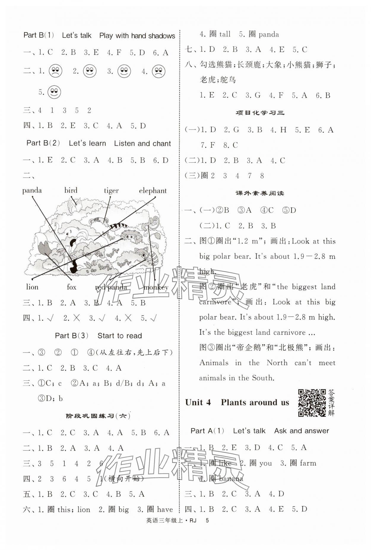 2024年經(jīng)綸學(xué)典提高班三年級英語上冊人教版 參考答案第5頁