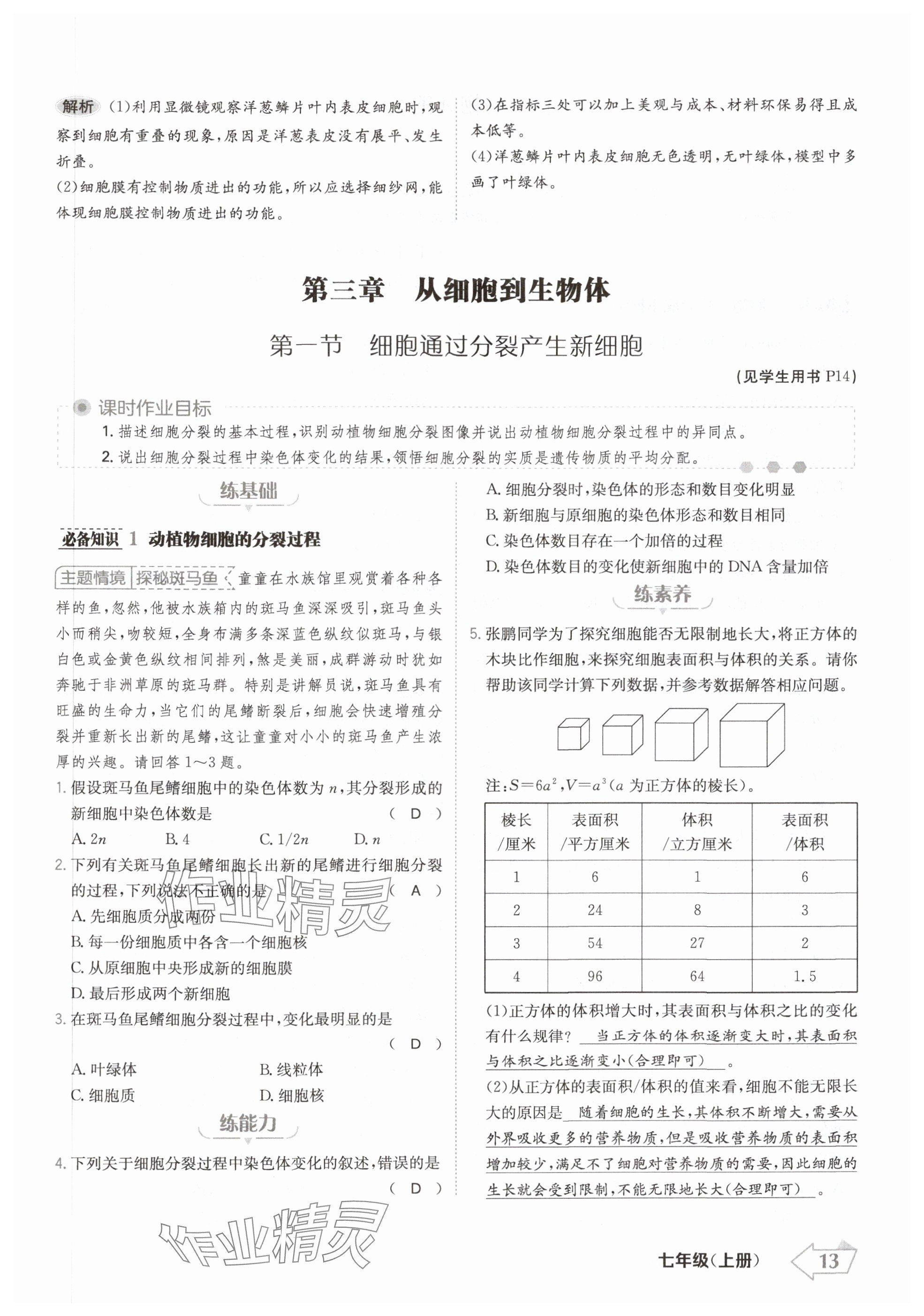 2024年金牌學(xué)練測七年級生物上冊人教版 參考答案第13頁