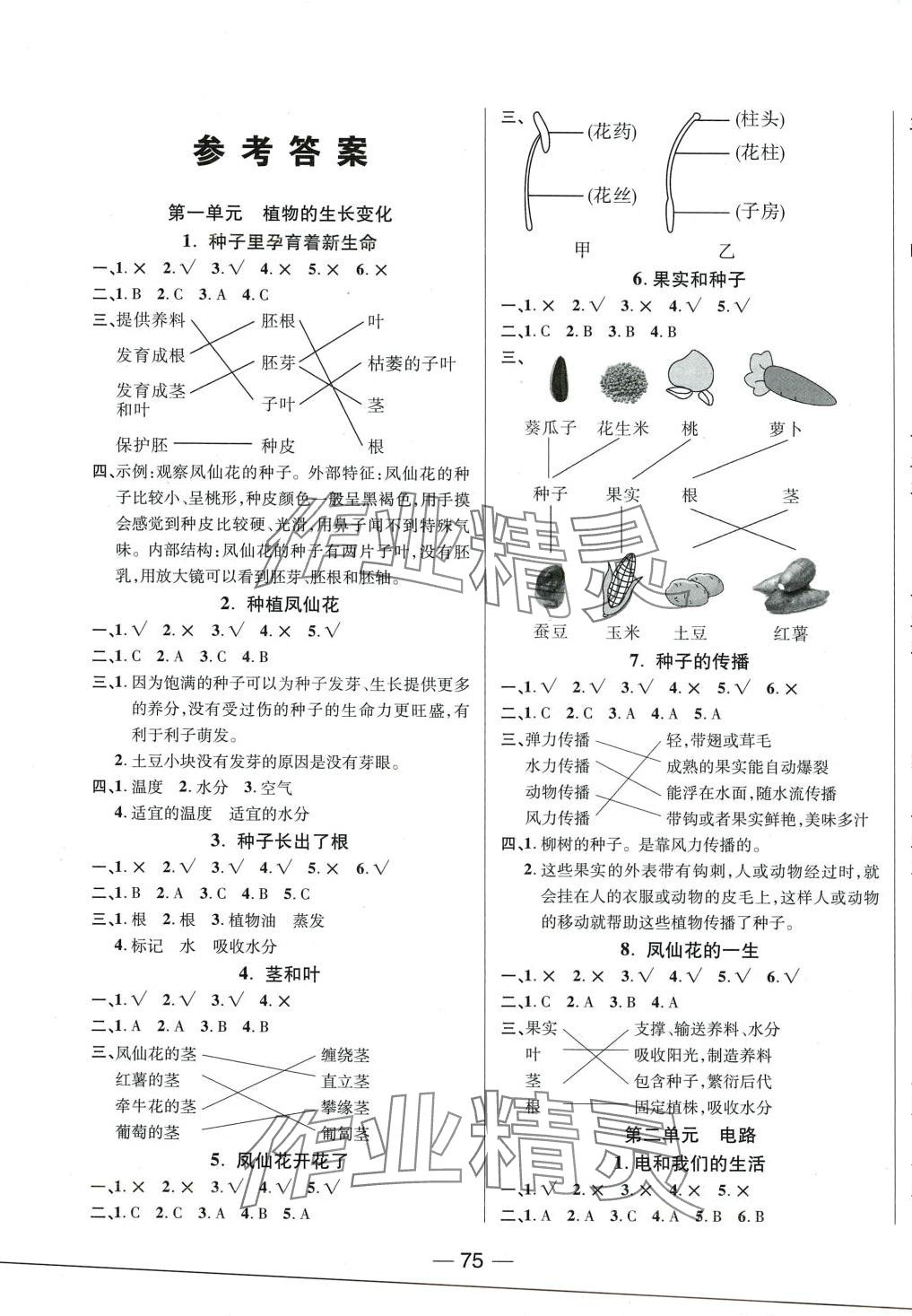 2024年奪冠新課堂四年級科學下冊教科版 第1頁