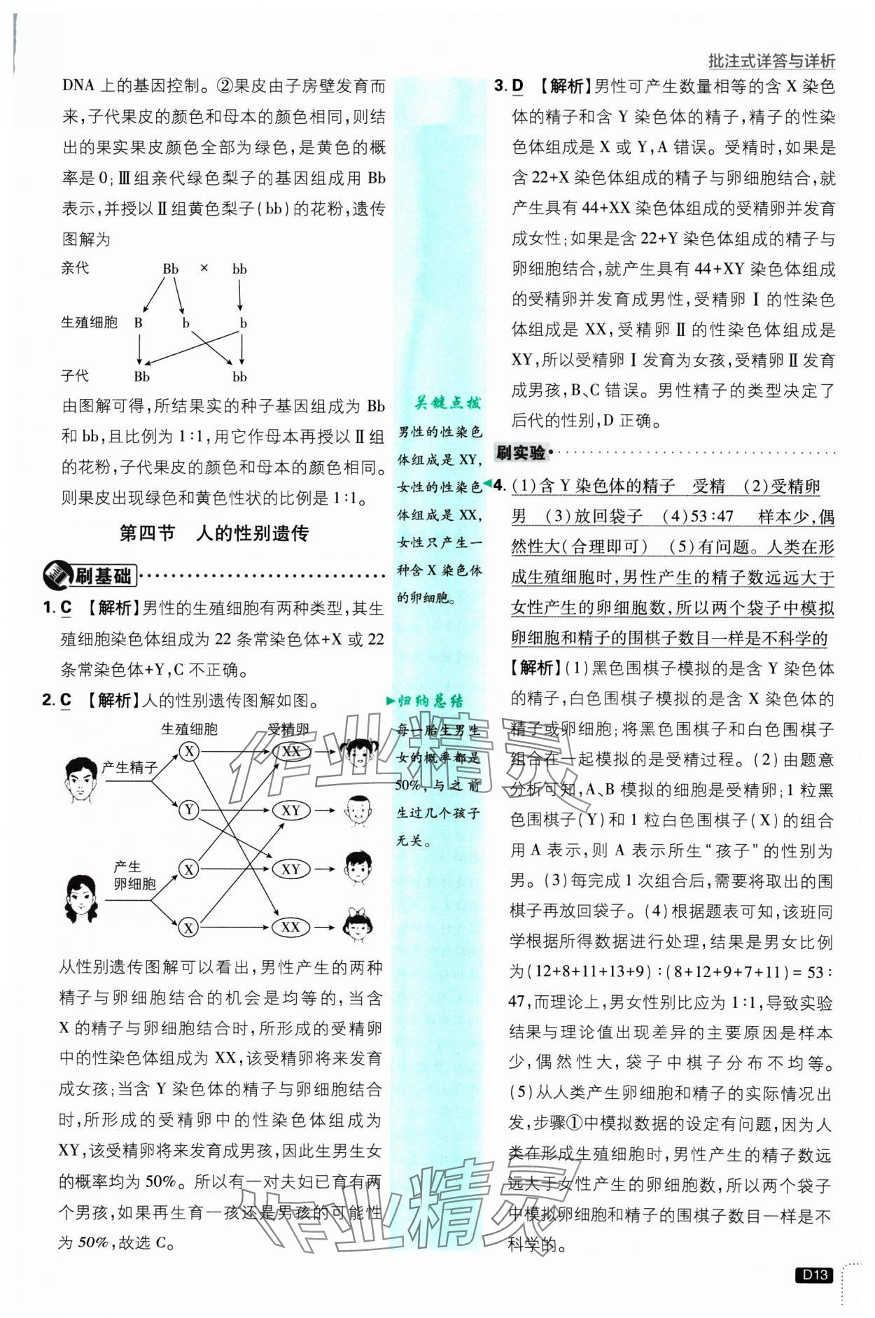 2025年初中必刷題八年級(jí)生物下冊(cè)人教版 參考答案第13頁(yè)