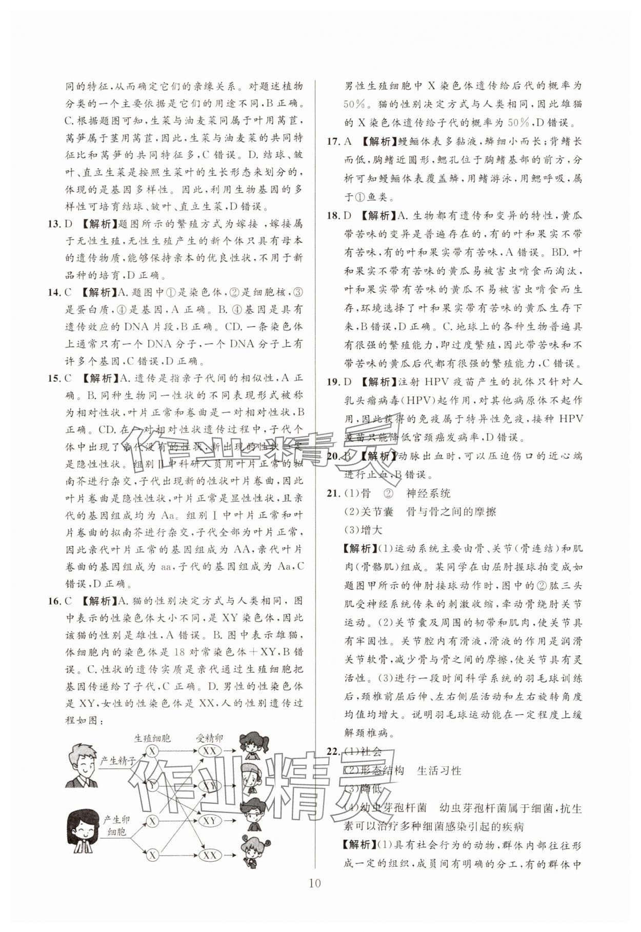 2025年中考名師解密熱點試題匯編生物河南專版&nbsp;參考答案第10頁