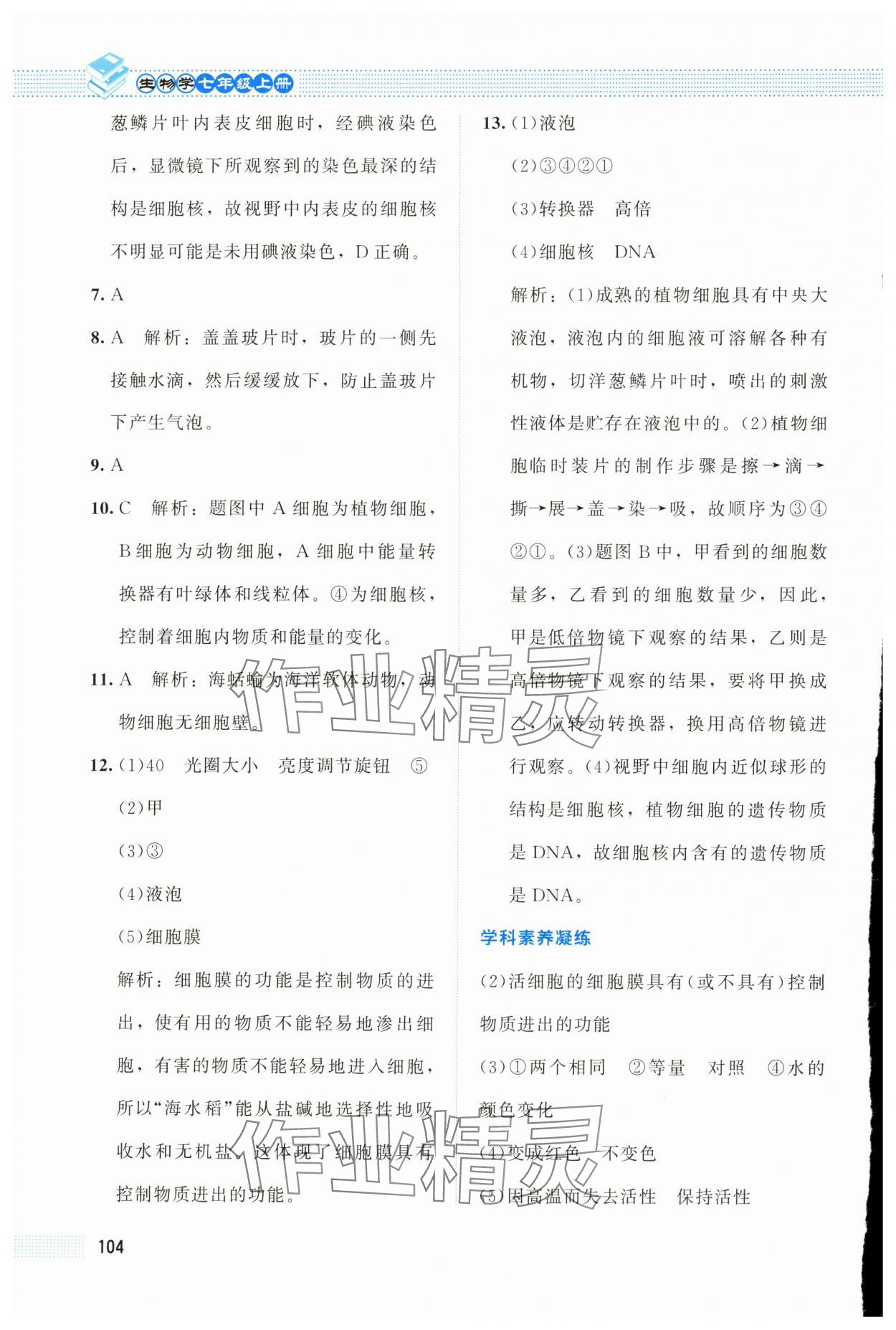 2025年课堂精练七年级生物上册北师大版海南专版 第6页