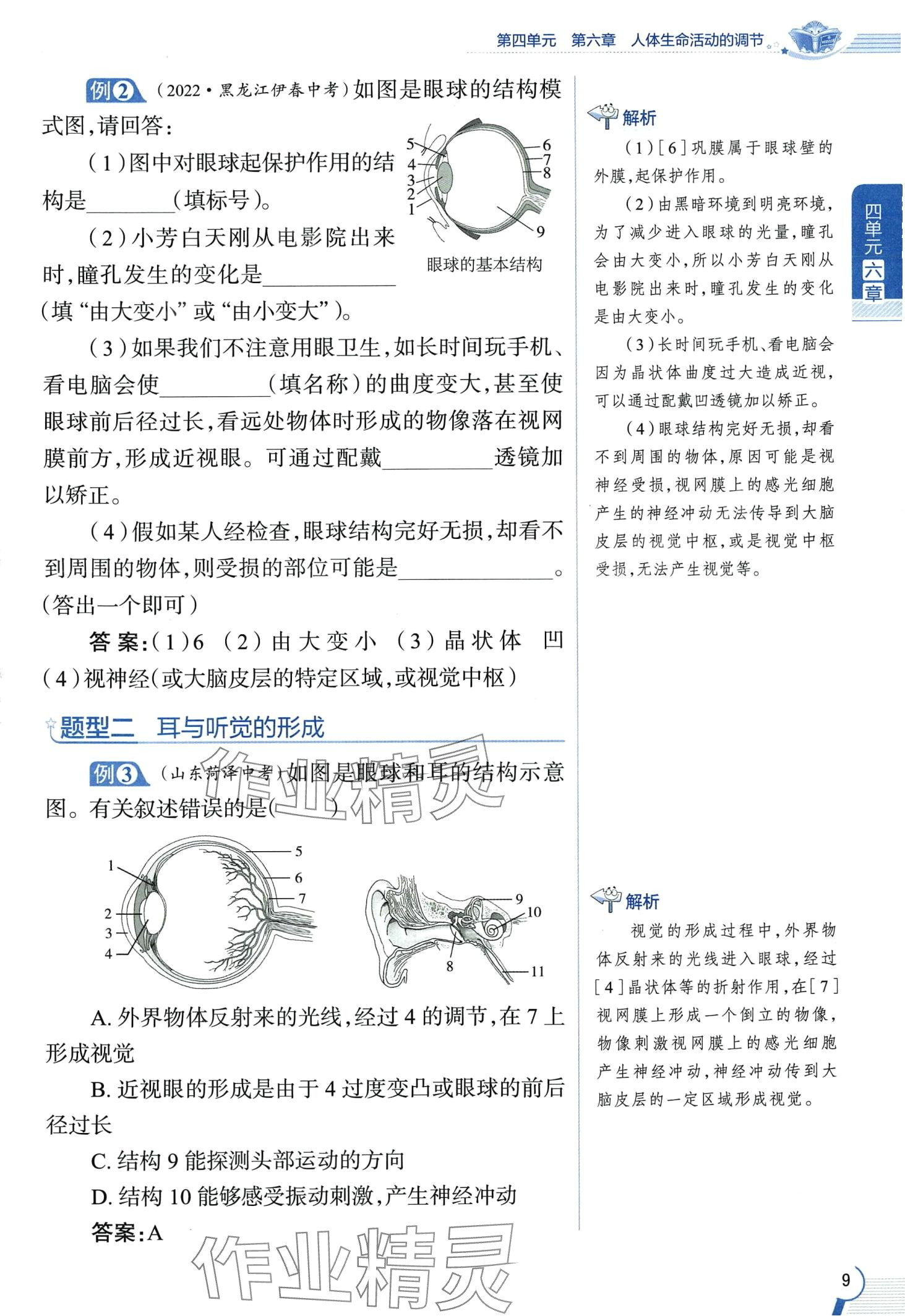 2024年教材课本七年级生物下册鲁科版&nbsp;第9页