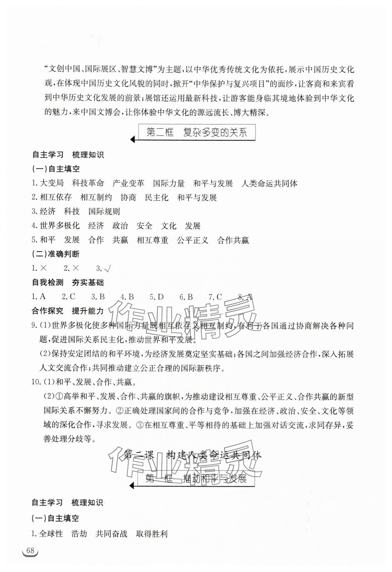 2025年长江作业本同步练习册九年级道德与法治下册人教版 参考答案第2页