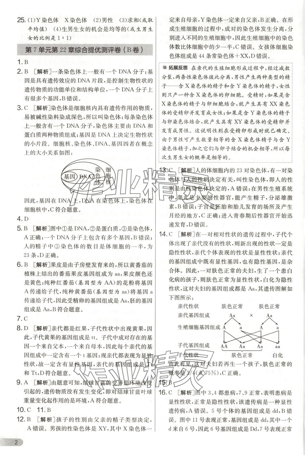 2025年單元雙測全優測評卷八年級生物下冊蘇科版 第2頁