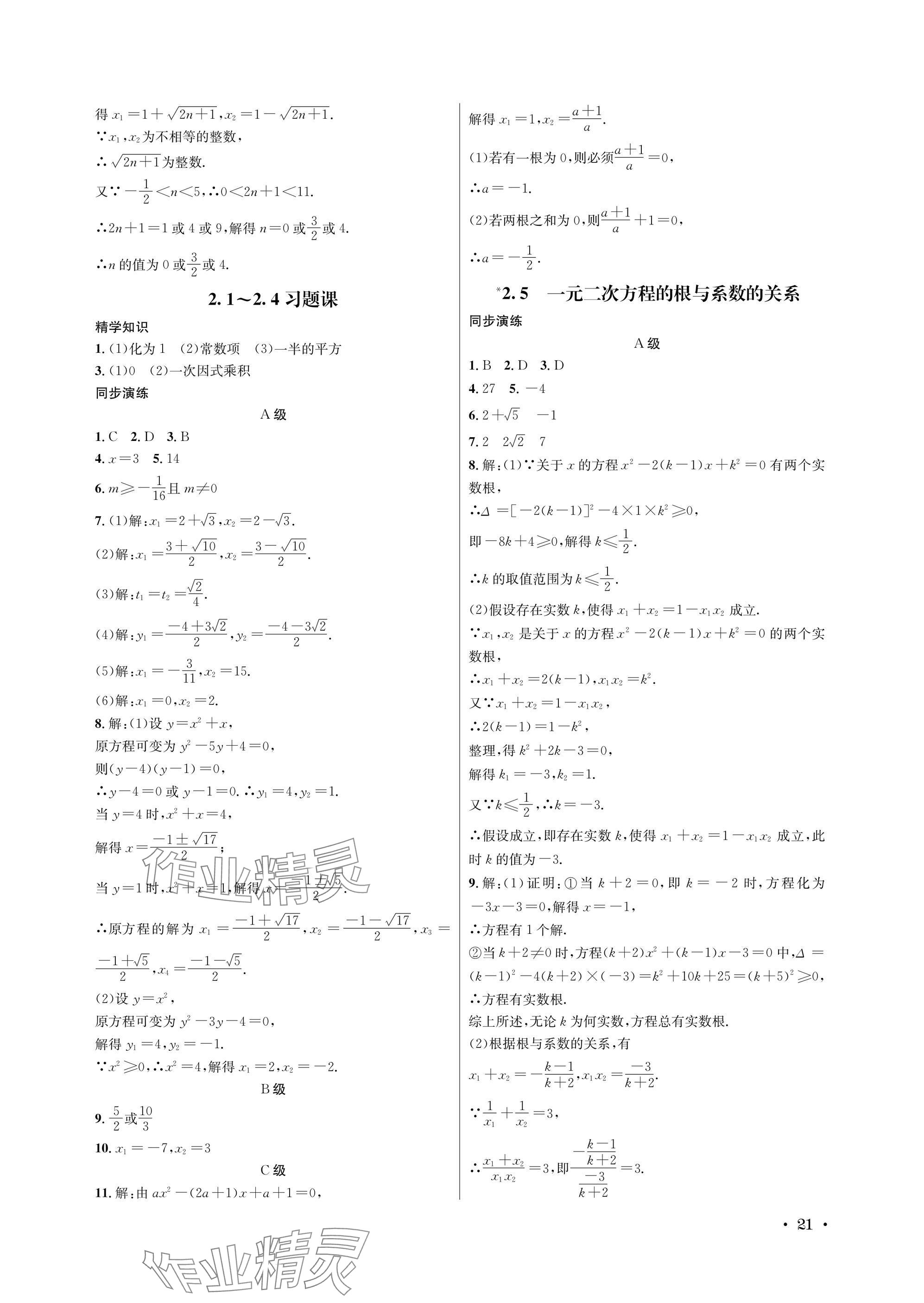 2025年蓉城学霸九年级数学全一册北师大版 参考答案第21页