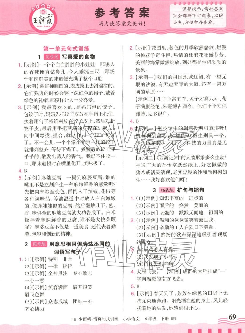 2025年少而精活页句式训练六年级语文下册 第1页