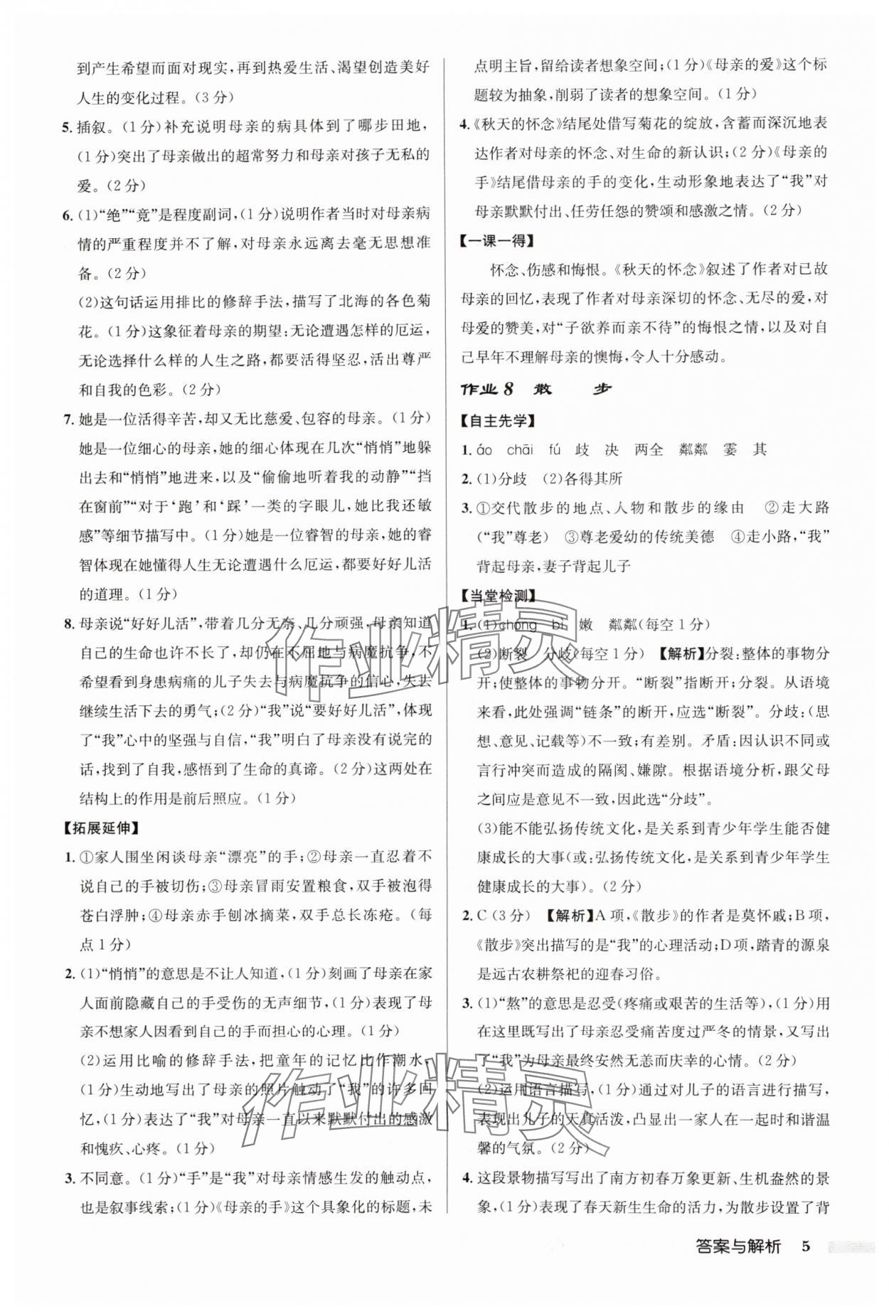 2024年啟東中學(xué)作業(yè)本七年級(jí)語(yǔ)文上冊(cè)人教版徐州專版 第5頁(yè)