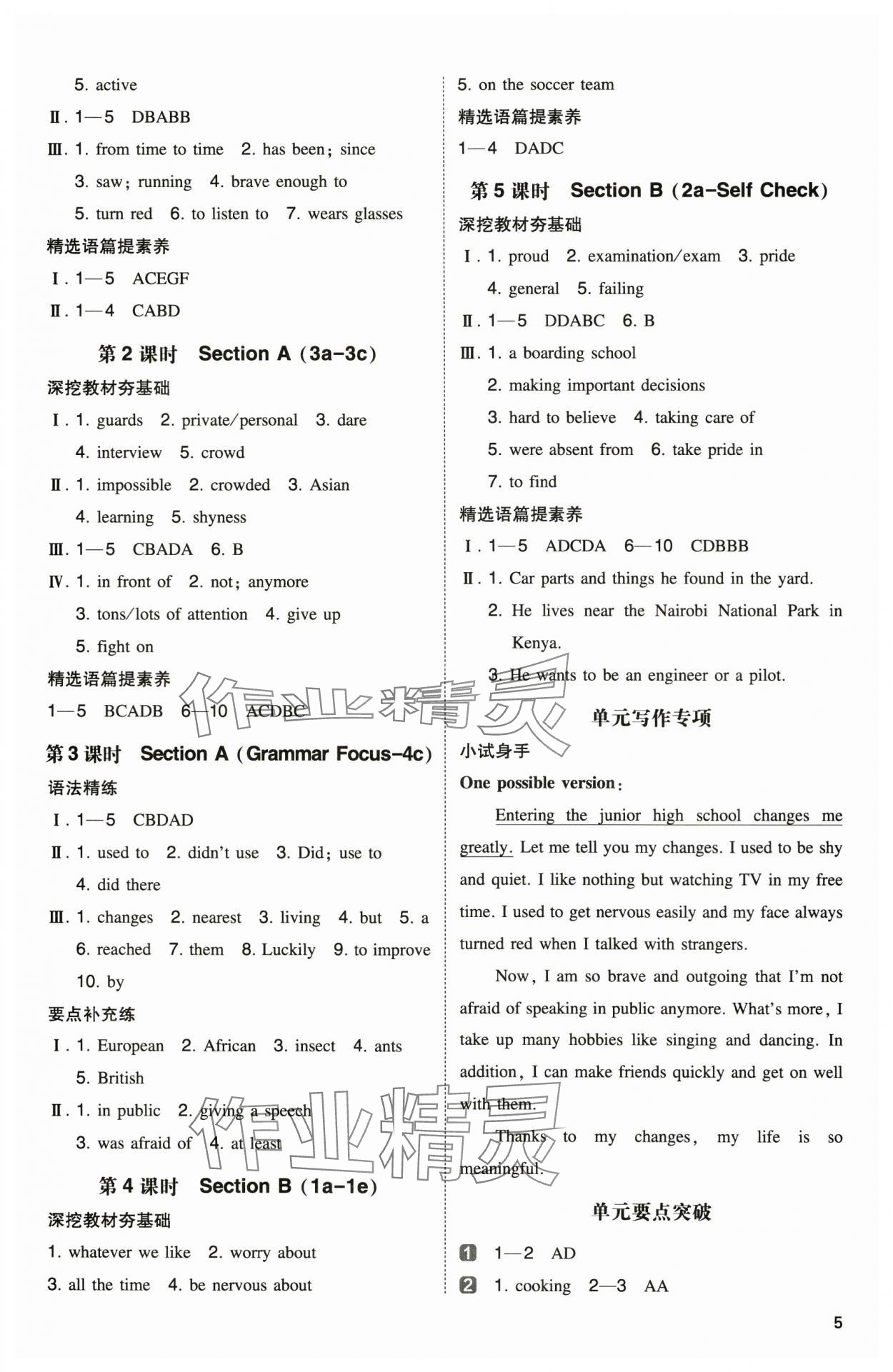 2024年一本同步訓(xùn)練九年級英語上冊人教版安徽專版 參考答案第5頁