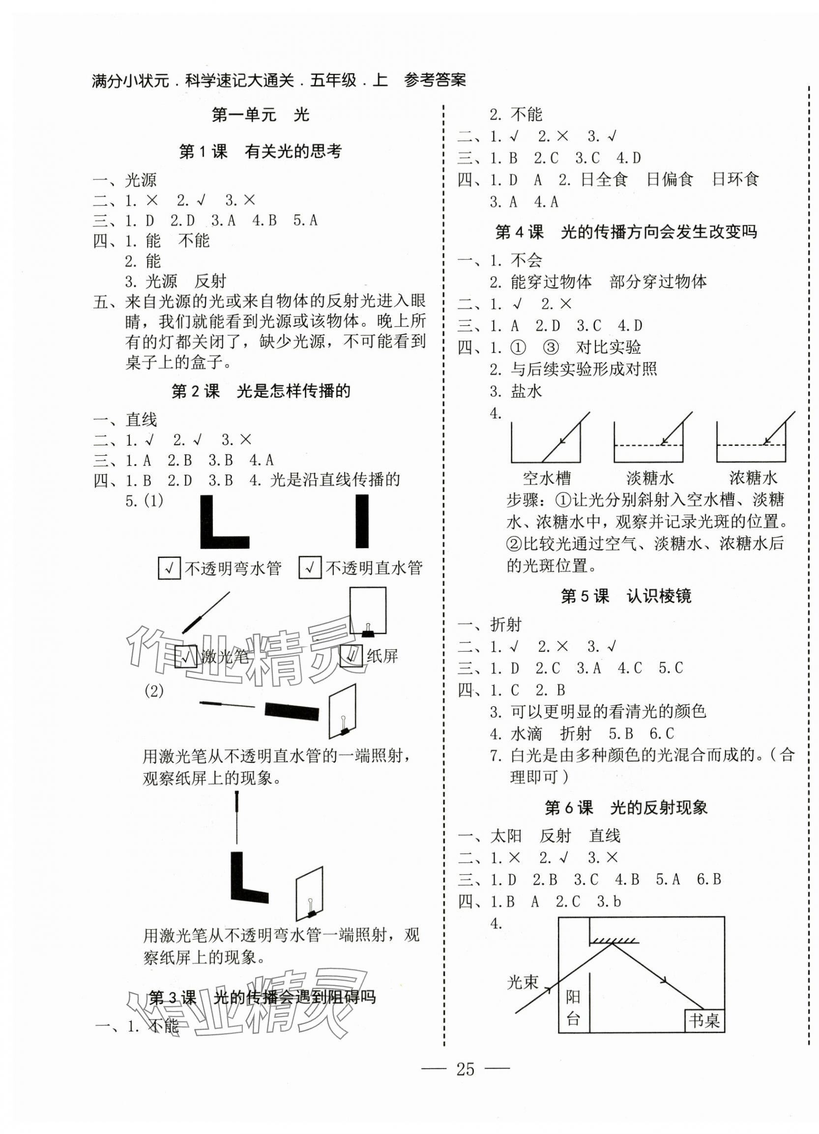 2024年科學(xué)速記大通關(guān)五年級(jí)上冊教科版 第1頁