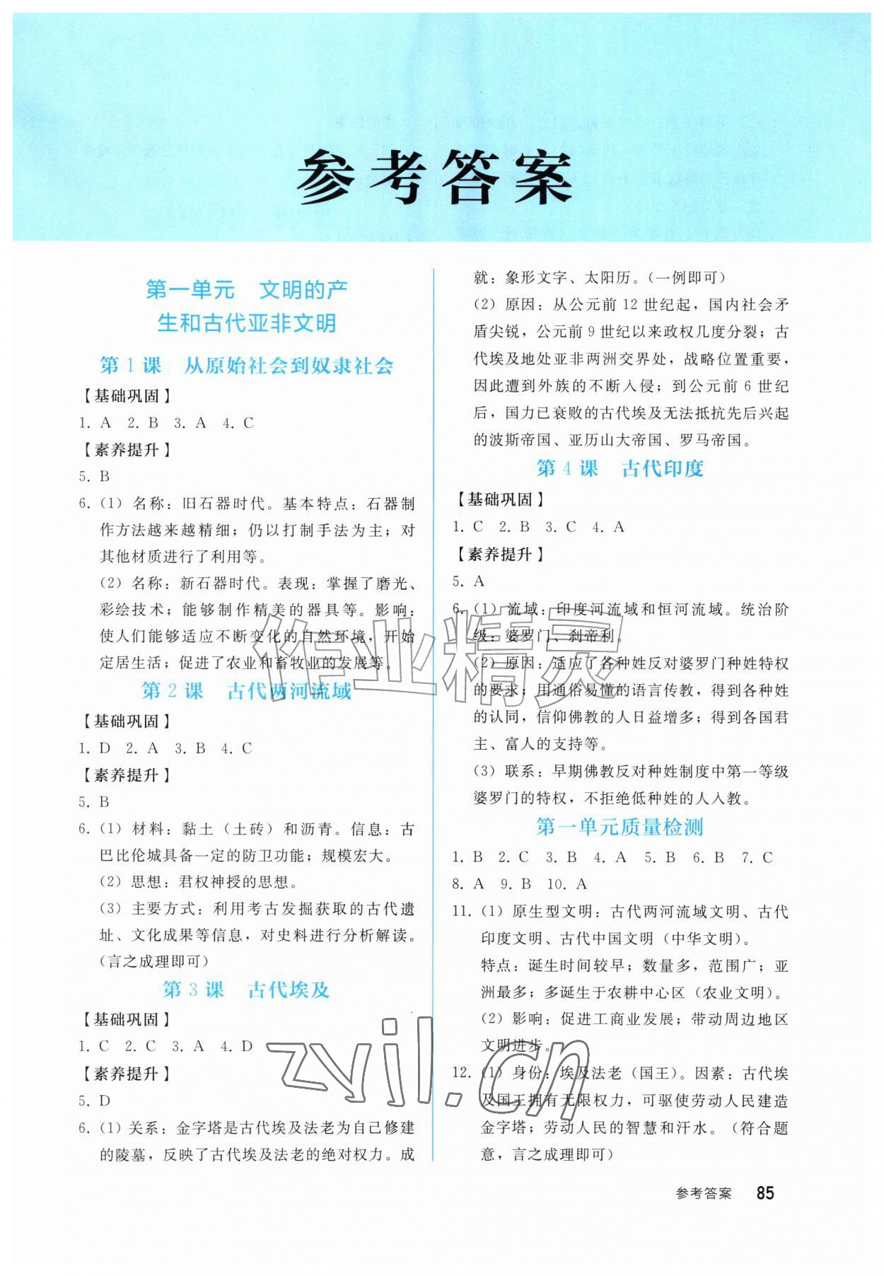2026年同步轻松练习西南大学出版社九年级历史上册人教版&nbsp;第1页