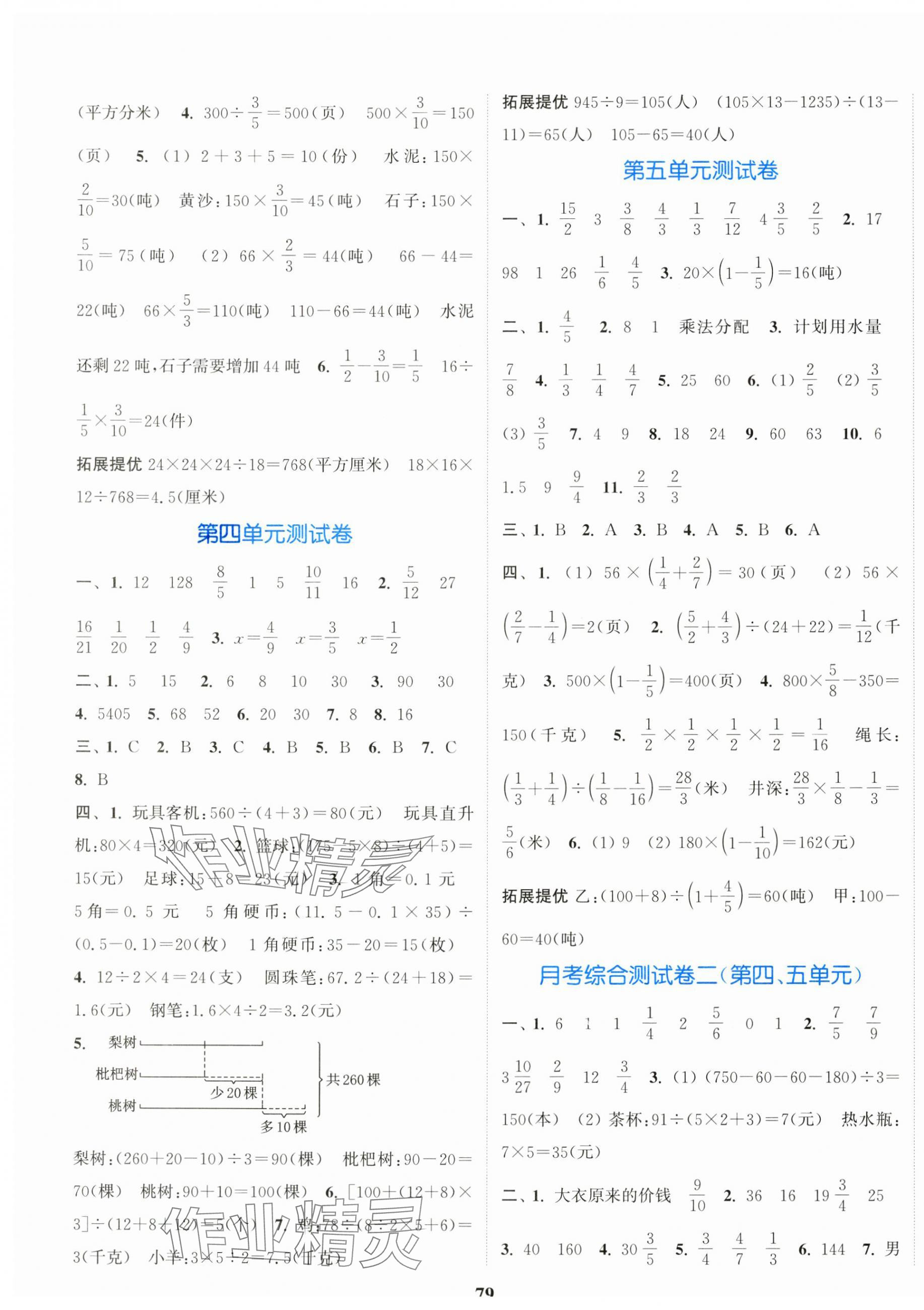 2024年江蘇金考卷六年級數(shù)學(xué)上冊蘇教版 參考答案第3頁