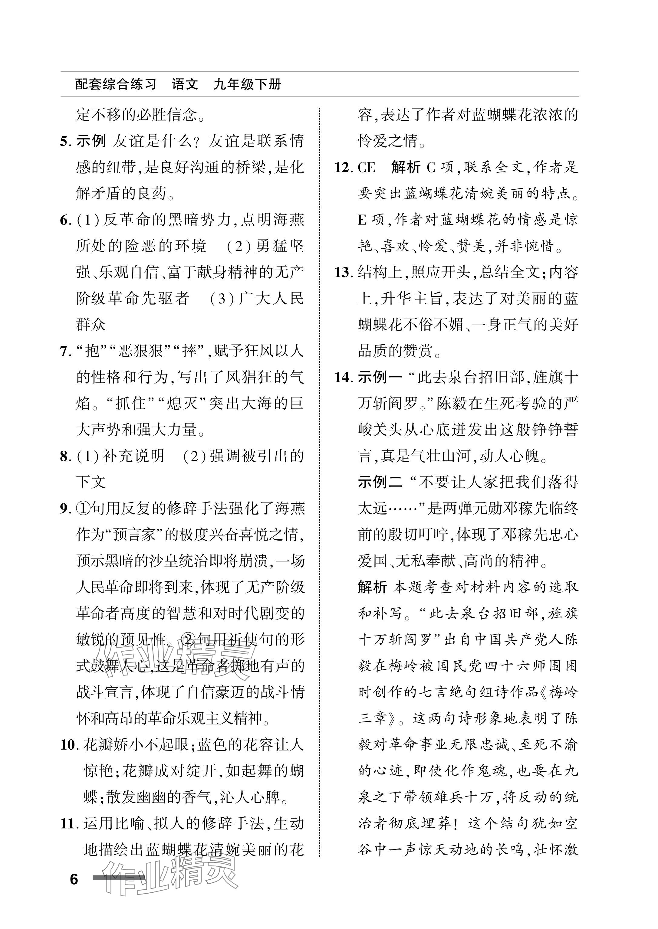 2024年配套綜合練習(xí)甘肅九年級語文下冊人教版 參考答案第6頁