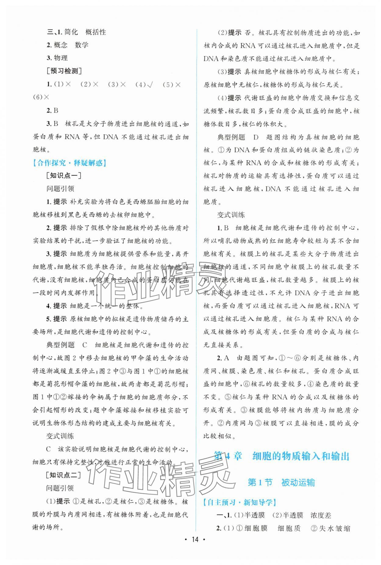 2025年高中同步測(cè)控優(yōu)化設(shè)計(jì)（分子與細(xì)胞）高中生物必修1人教版增強(qiáng)版 參考答案第13頁(yè)