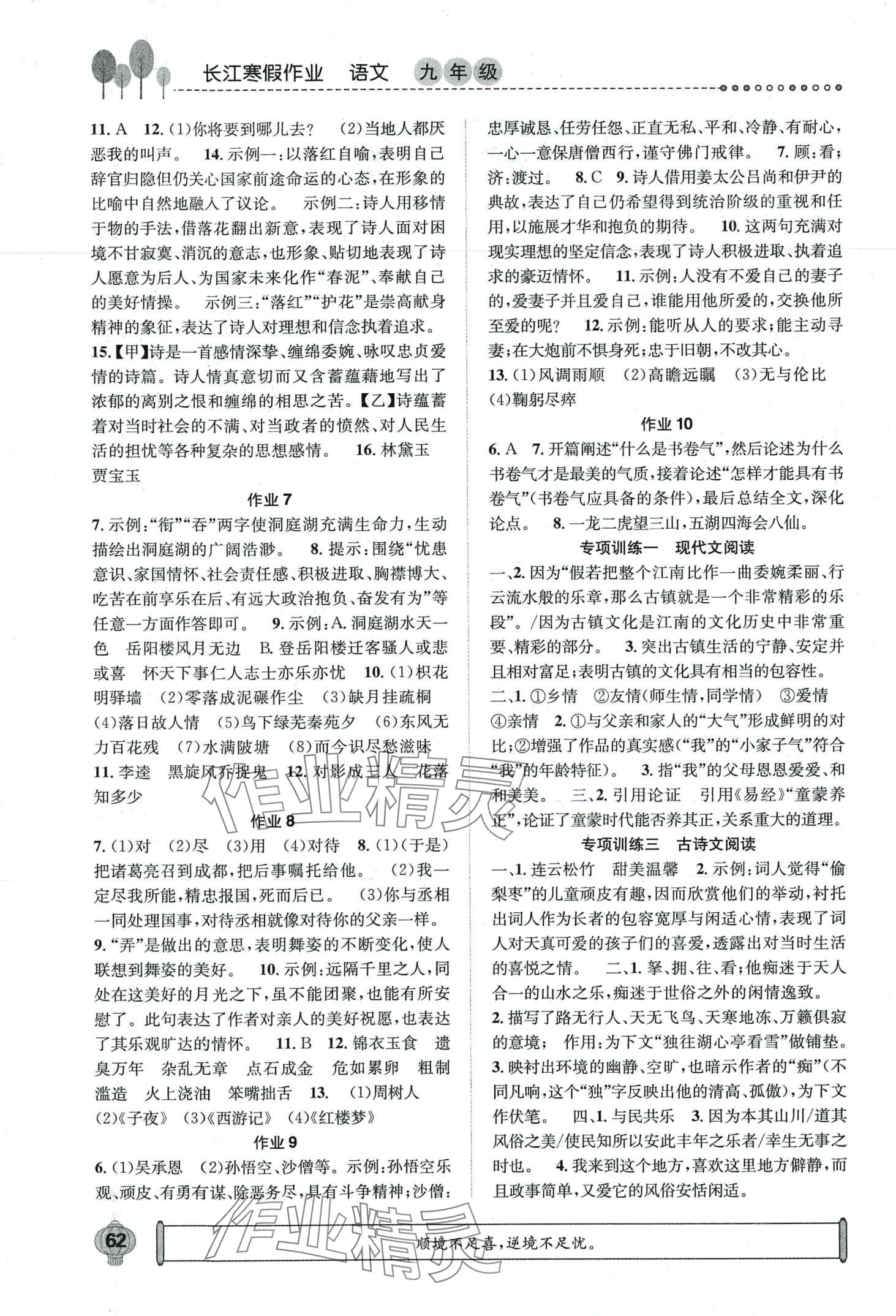 2024年长江寒假作业崇文书局九年级语文 第2页