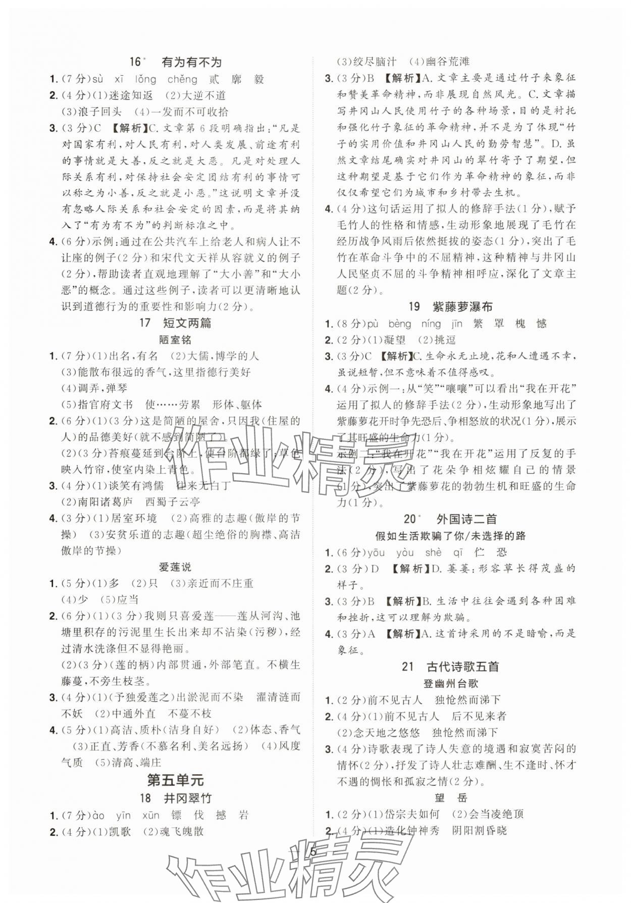 2025年陽光同學(xué)分層設(shè)計七年級語文下冊人教版福建專版 參考答案第5頁