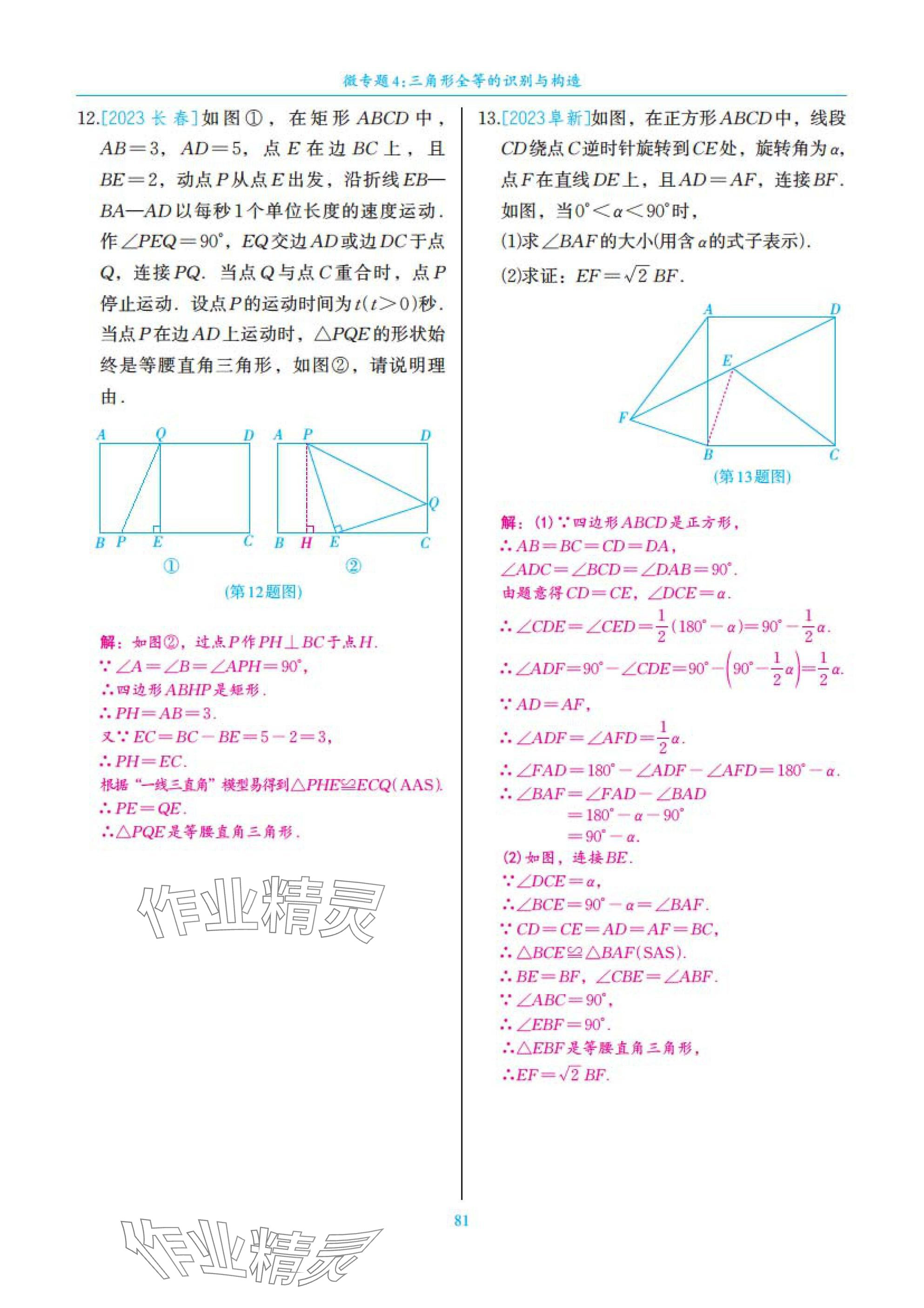 2025年中考复习一本全数学北师大版深圳专版&nbsp;参考答案第81页