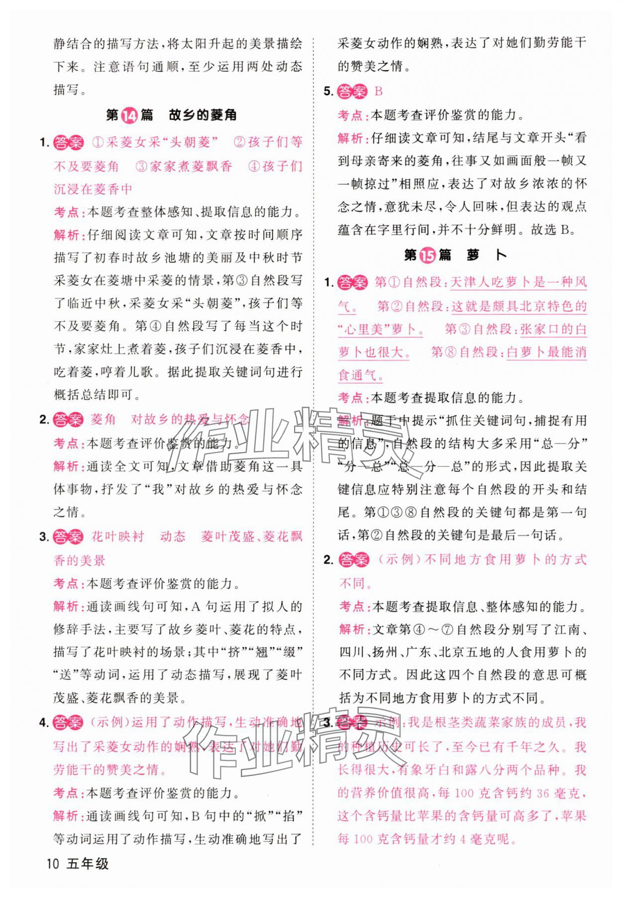 2025年百校名师阅读真题80篇五年级彩虹版 第10页