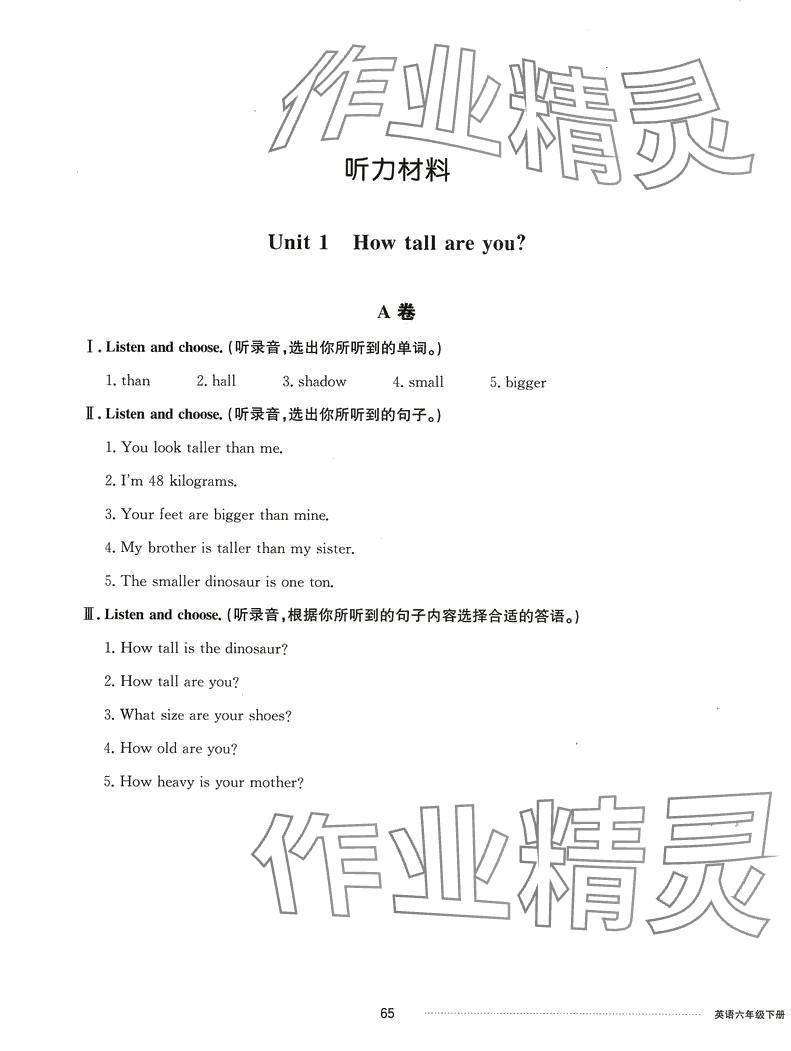 2024年同步練習(xí)冊(cè)配套單元自測(cè)卷六年級(jí)英語(yǔ)下冊(cè)人教版 第1頁(yè)