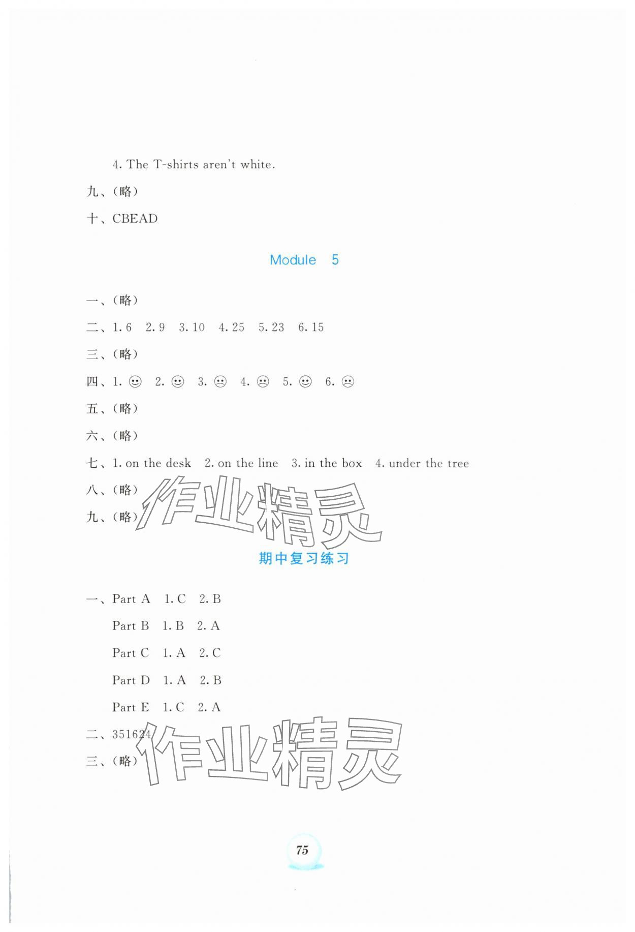 2025年书写练习一本通五年级英语上册外研版&nbsp;参考答案第4页