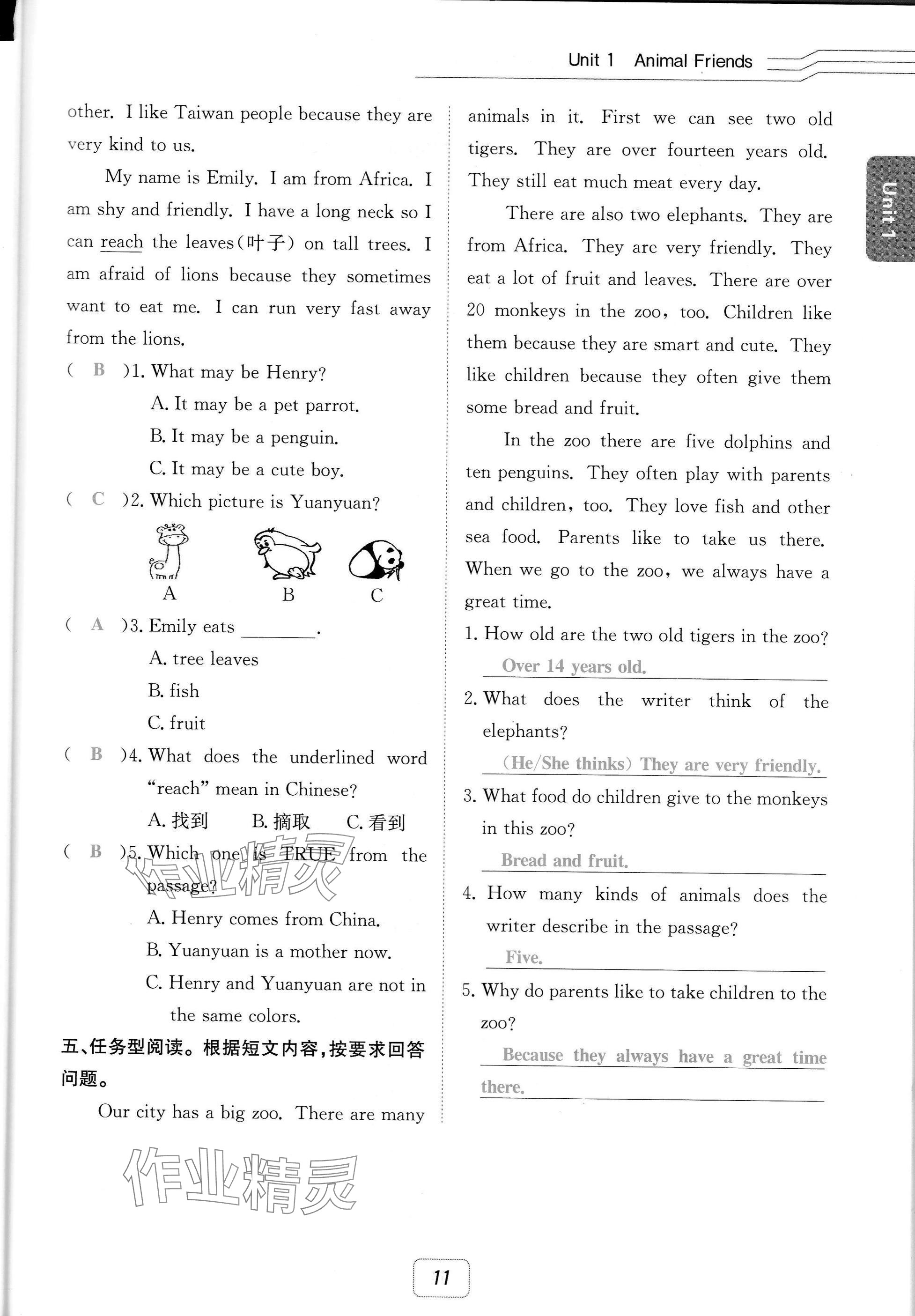 2025年名校金典課堂七年級英語下冊人教版成都專版 參考答案第11頁
