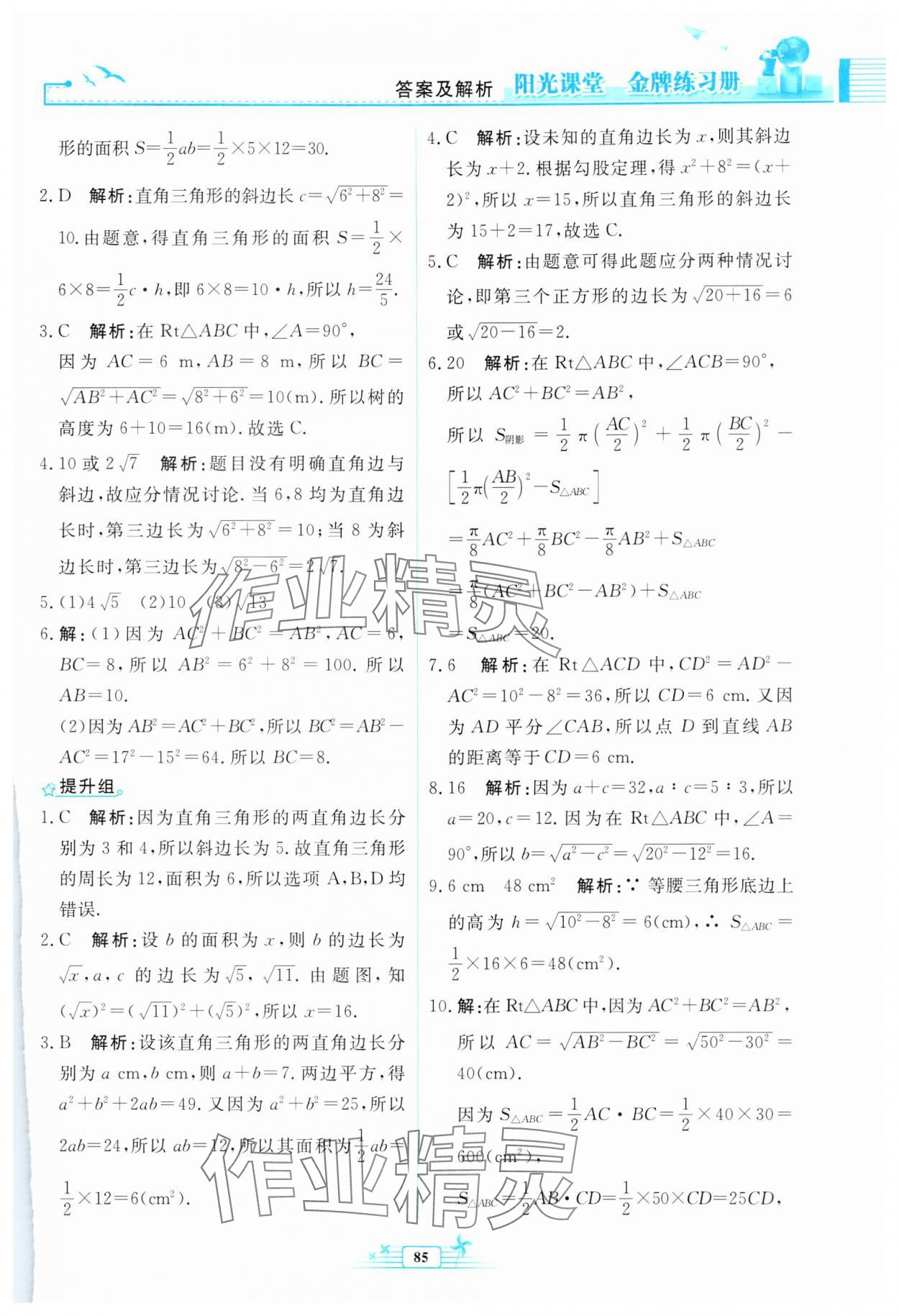 2024年陽光課堂金牌練習(xí)冊八年級數(shù)學(xué)下冊人教版福建專版 第7頁