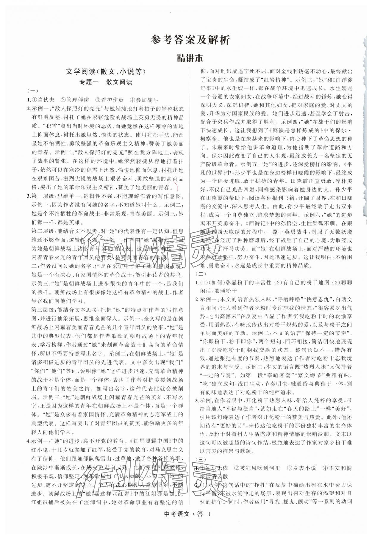 2025名師面對面中考滿分特訓(xùn)方案語文人教版浙江專版 參考答案第1頁