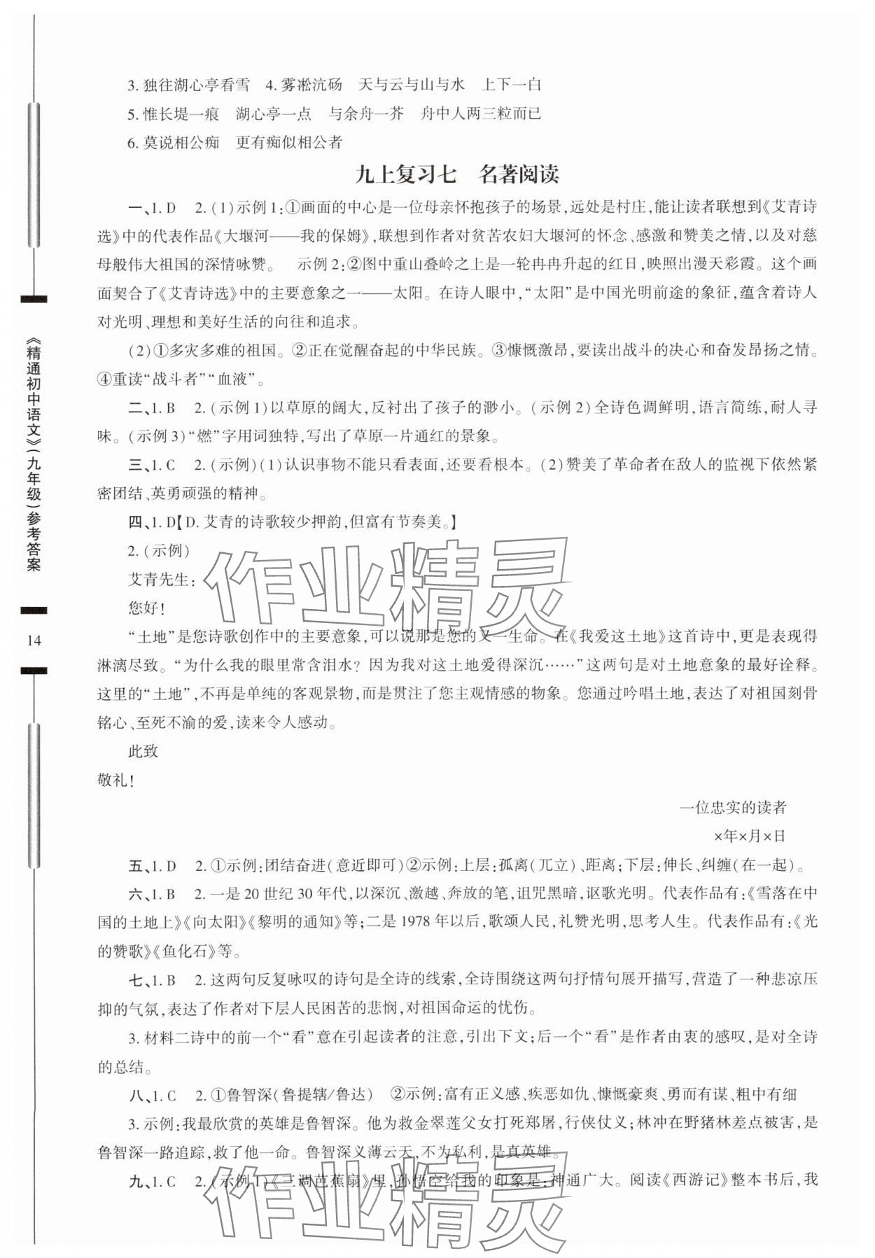 2025年精通初中語文九年級(jí)人教版 參考答案第14頁