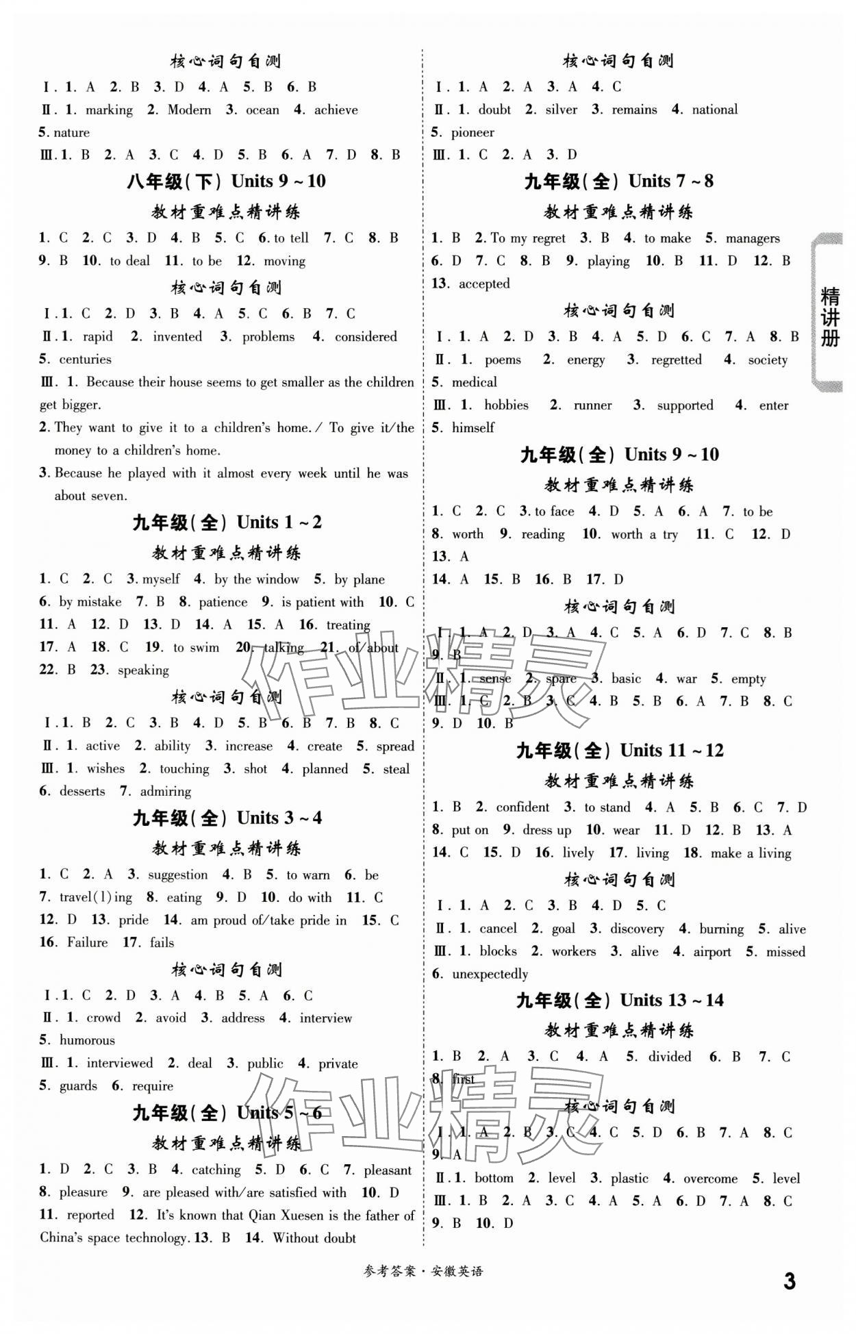 2024年一戰(zhàn)成名考前新方案九年級英語全一冊人教版安徽專版 第3頁