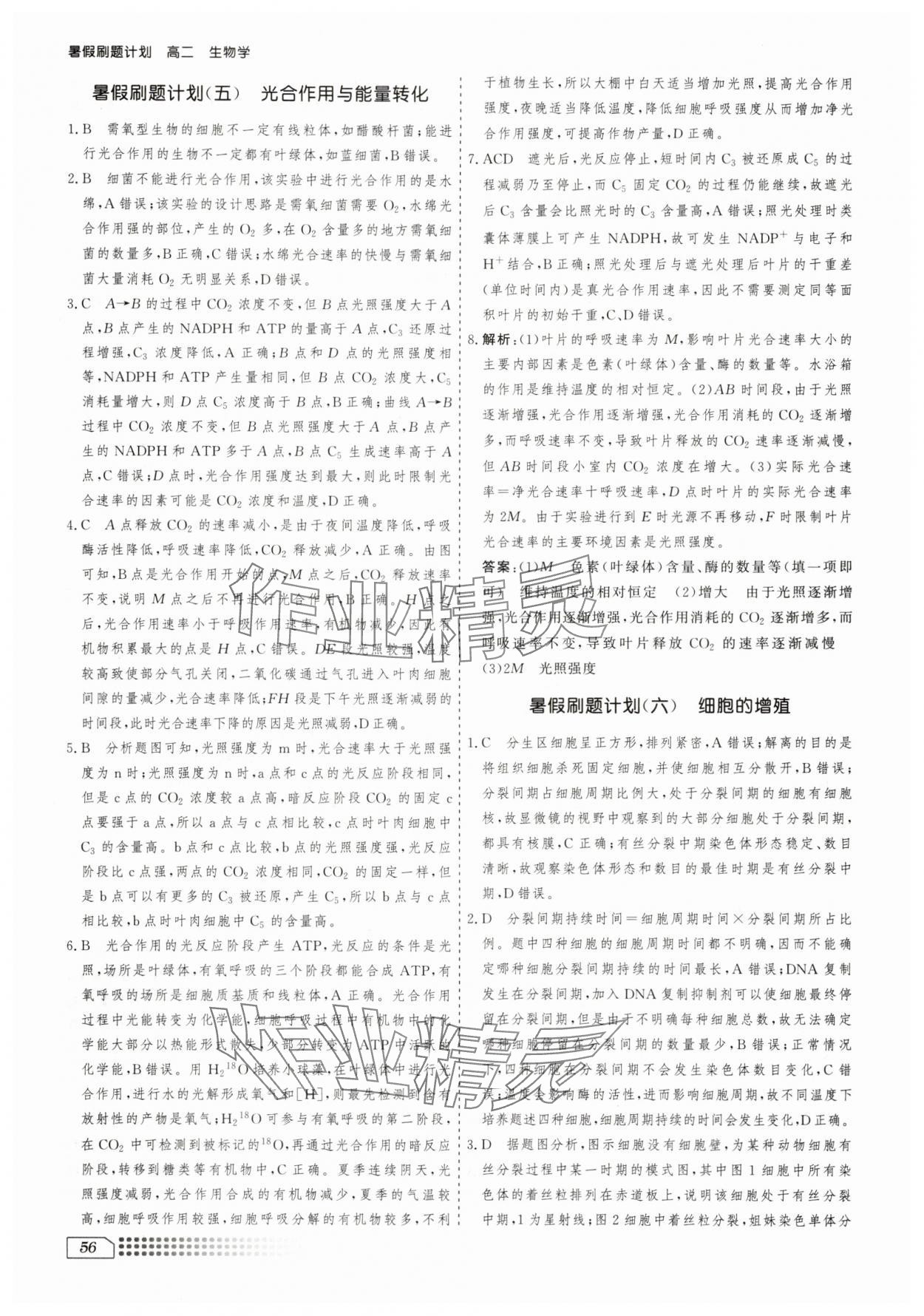 2025年暑假刷題計(jì)劃高二生物&nbsp;第4頁