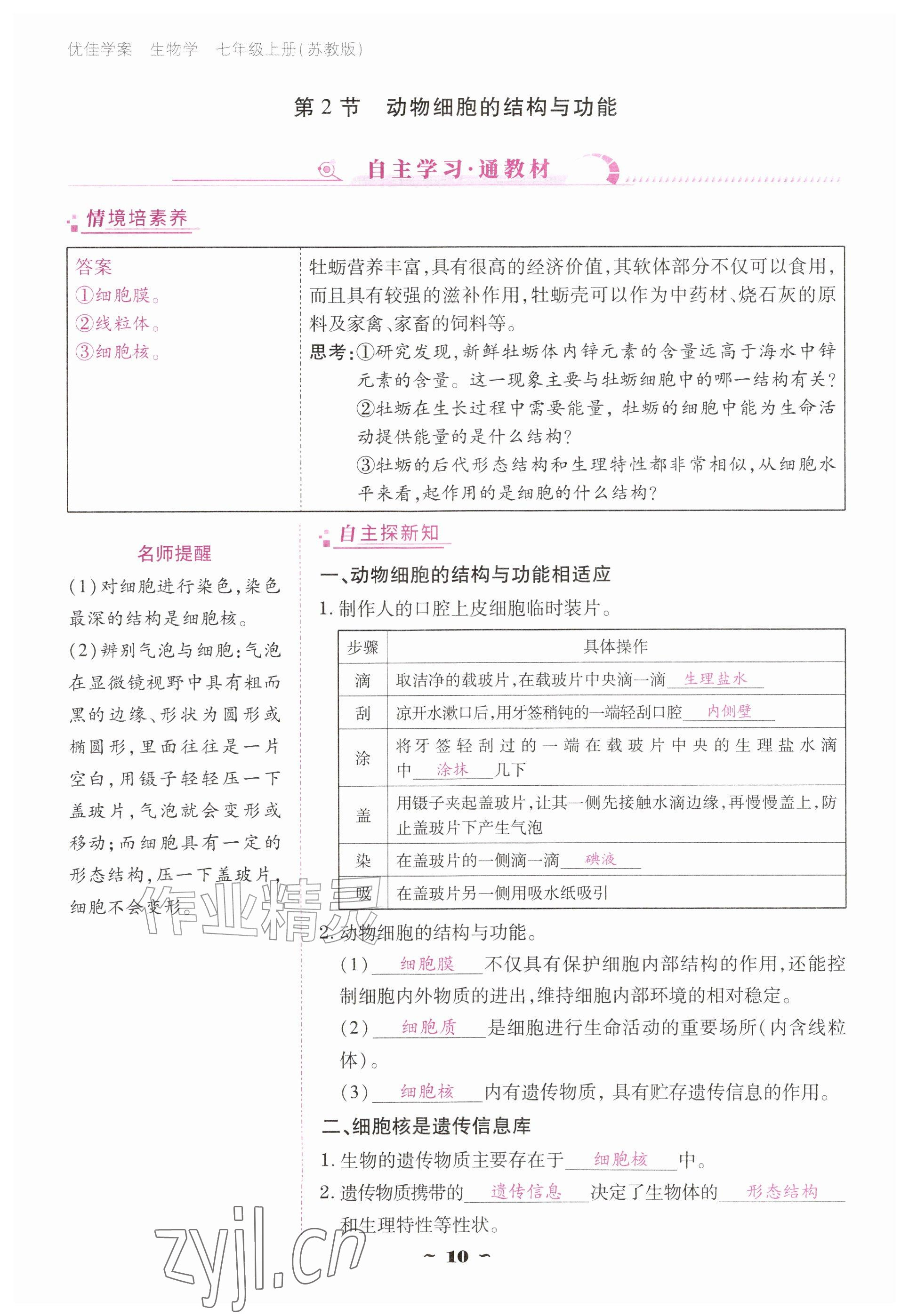 2026年云南省标准教辅优佳学案七年级历史上册人教版&nbsp;参考答案第10页